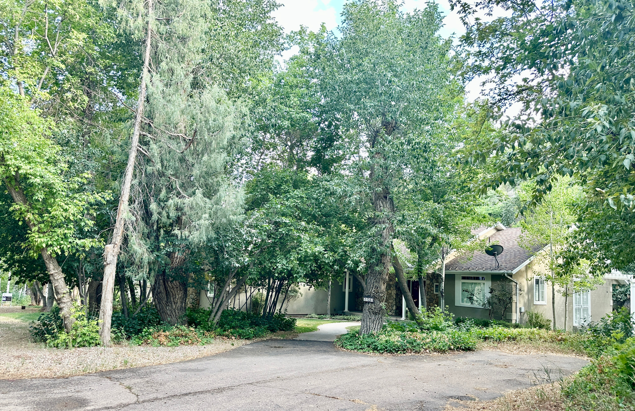 main property photo 117