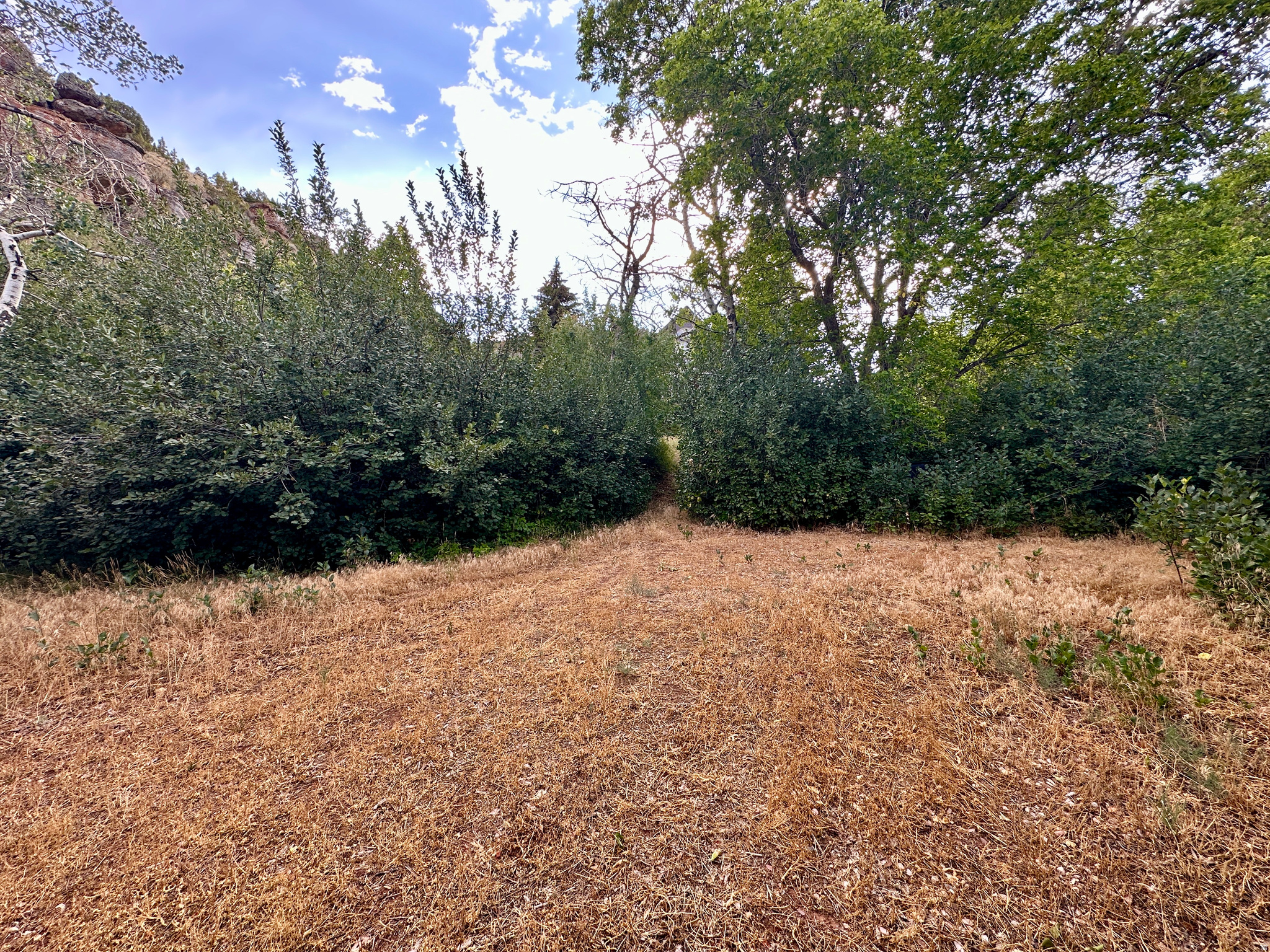 main property photo 118