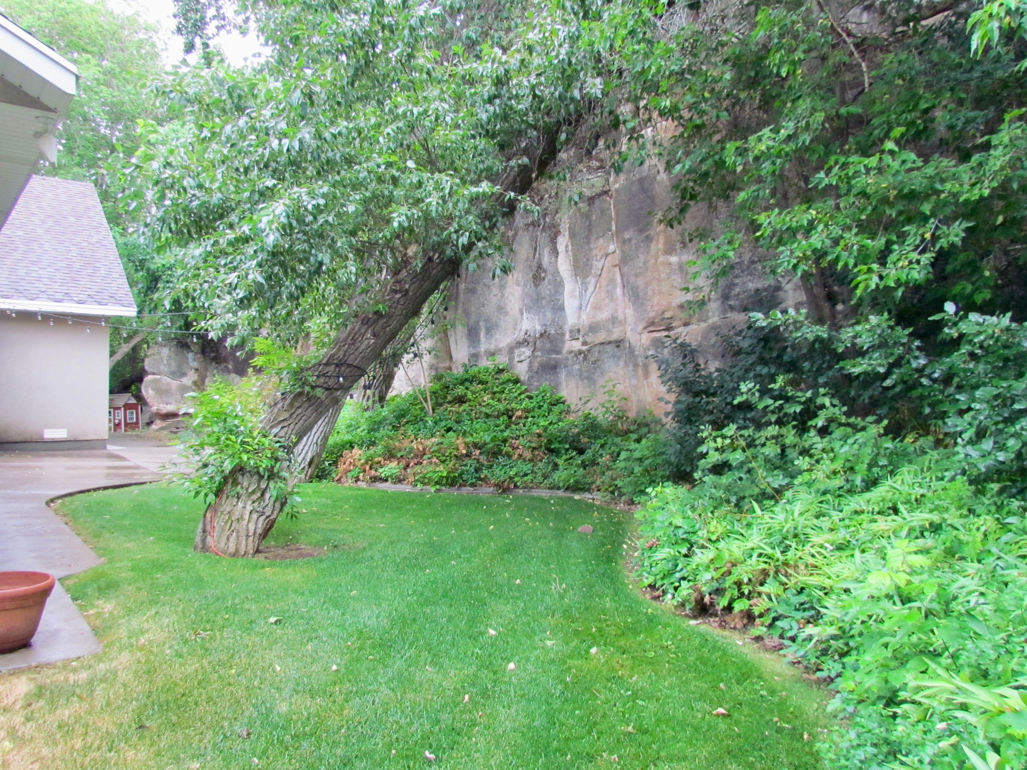 main property photo 54