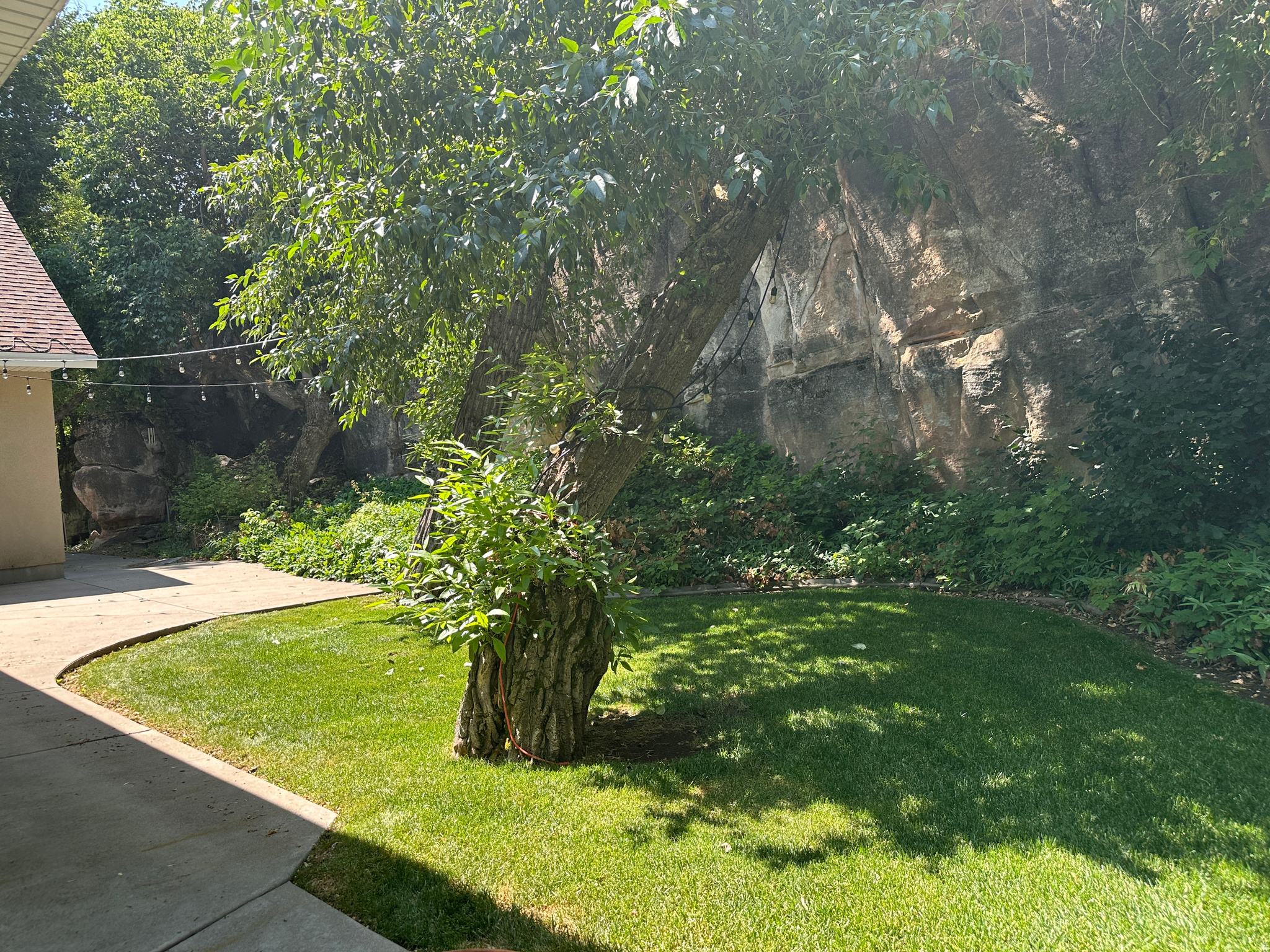 main property photo 62