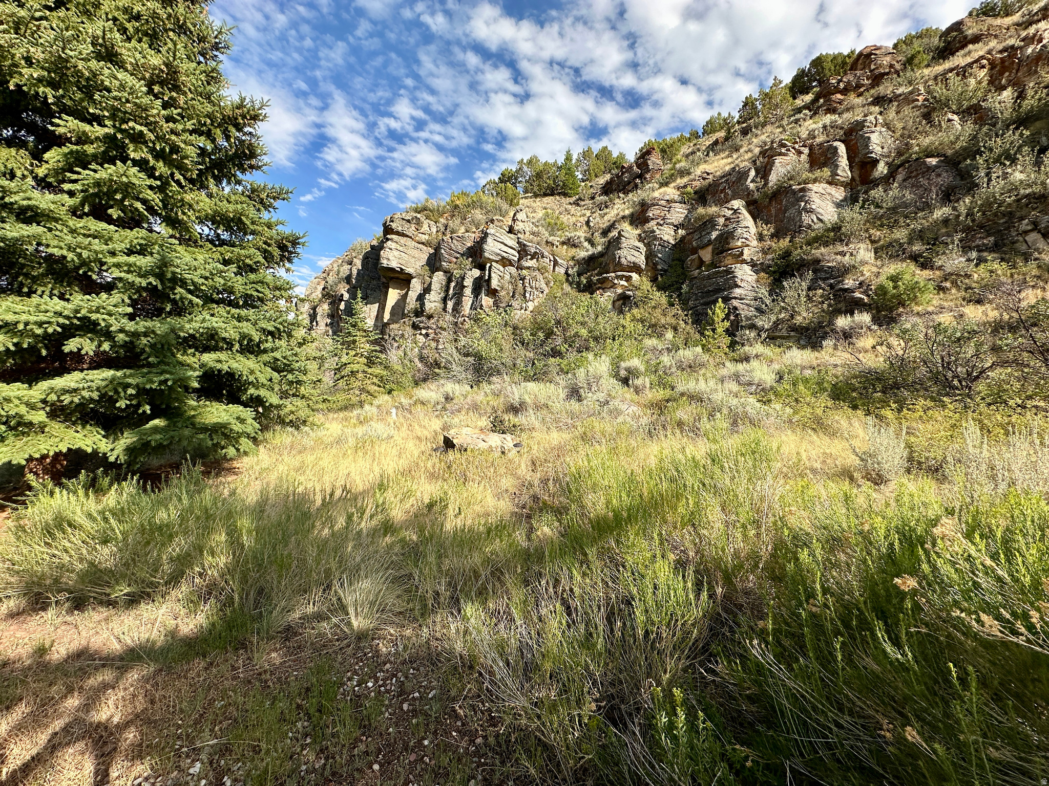 main property photo 87