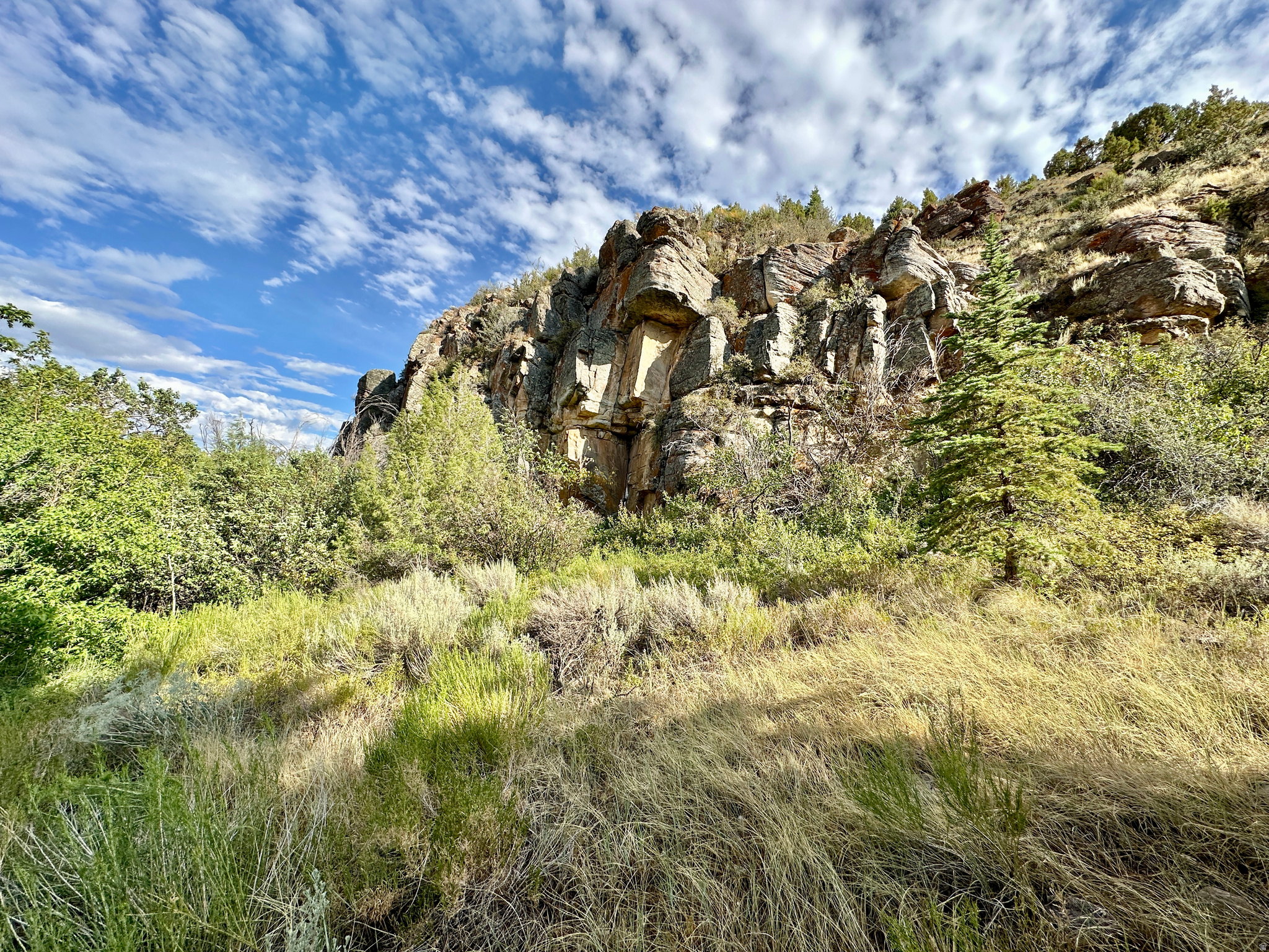 main property photo 88