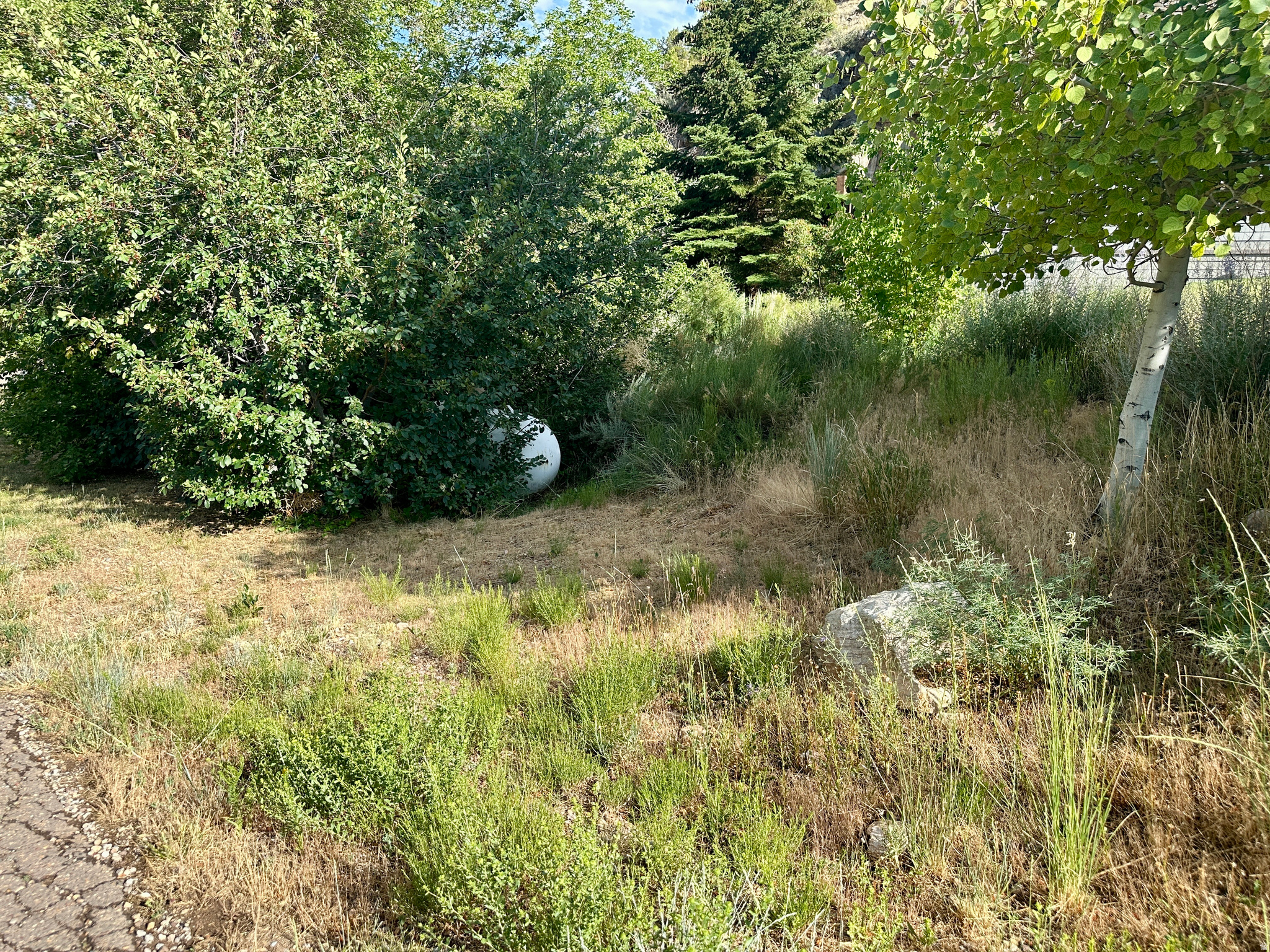 main property photo 92