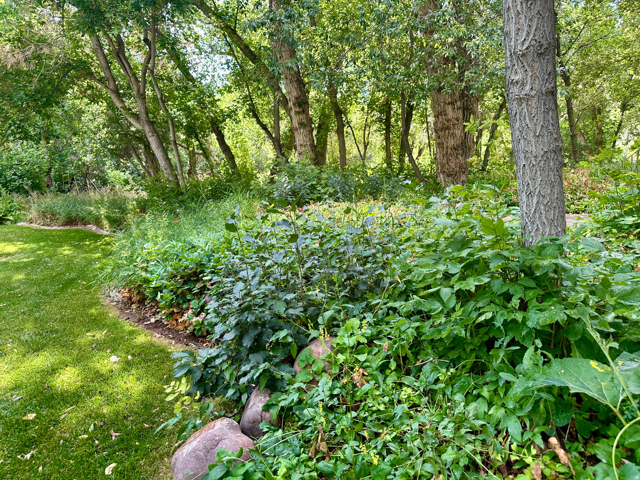 main property photo 94
