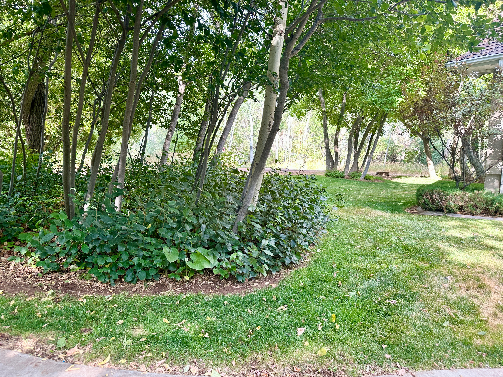 main property photo 95