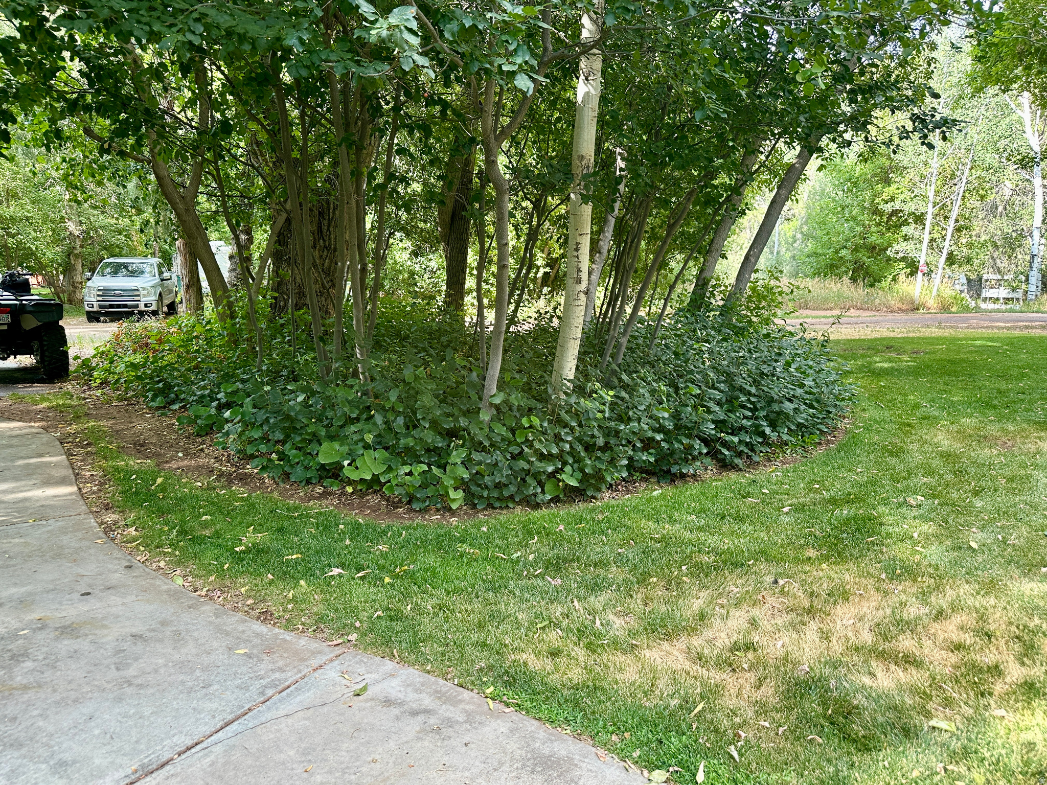 main property photo 96