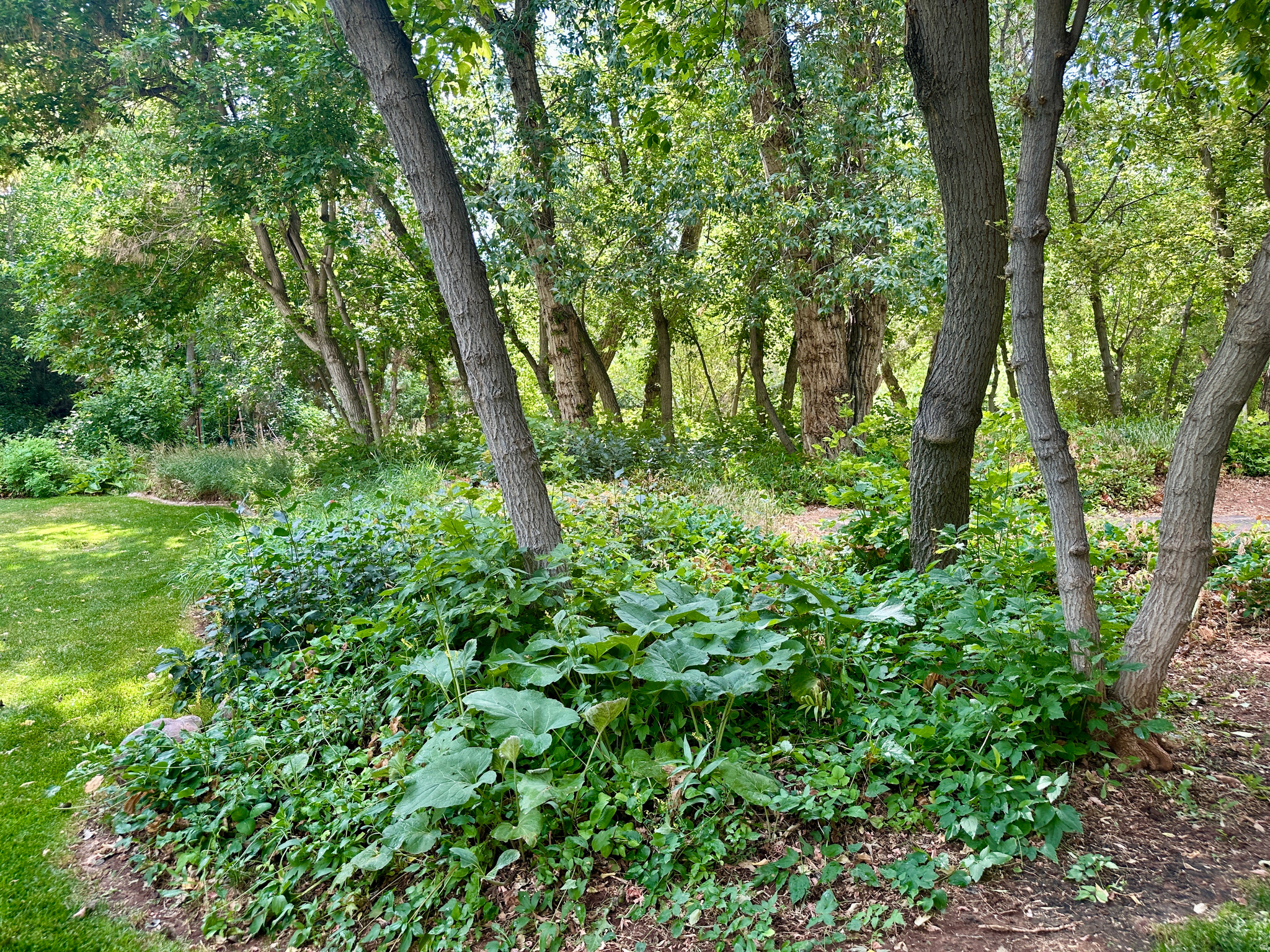 main property photo 98