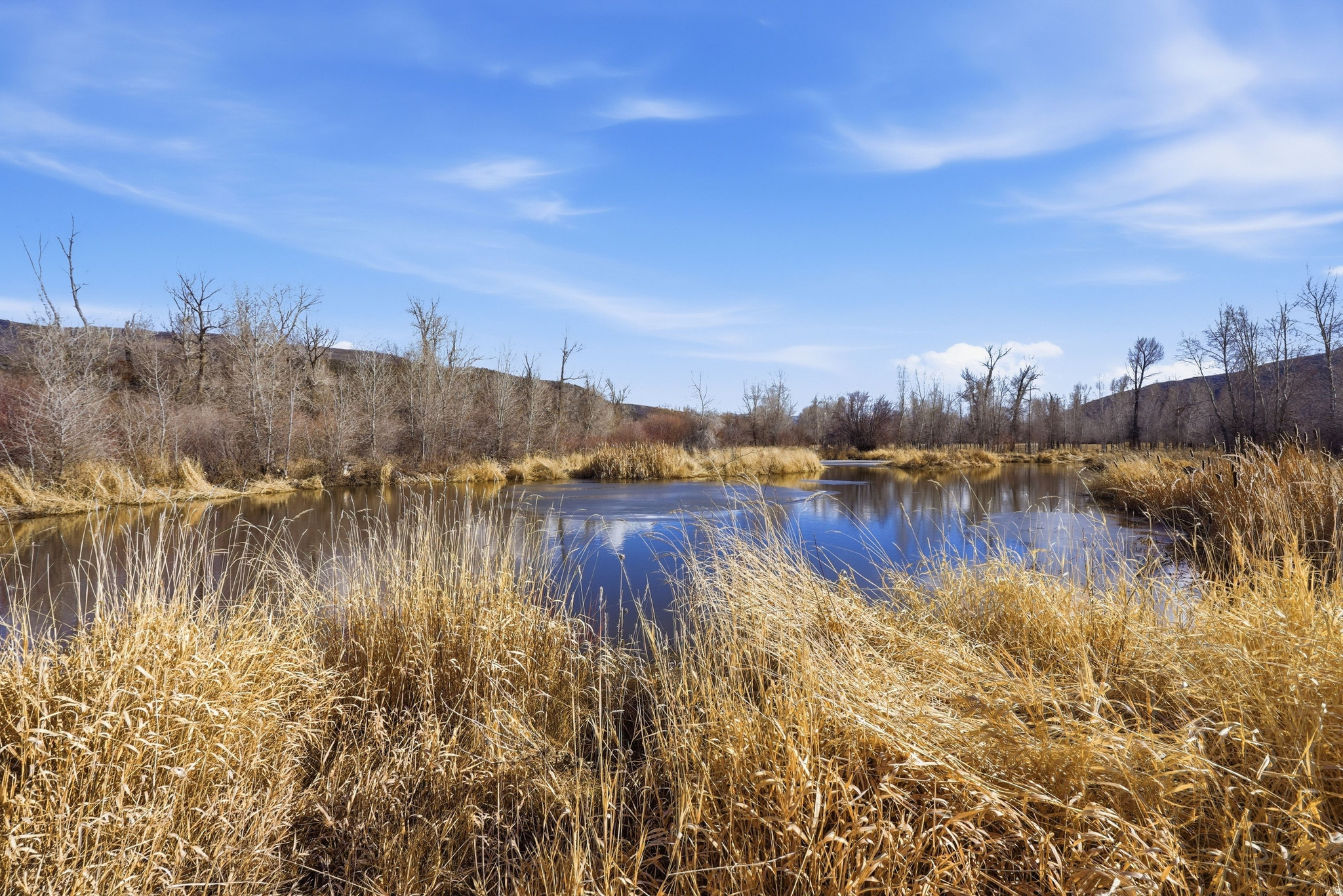 main property photo 70