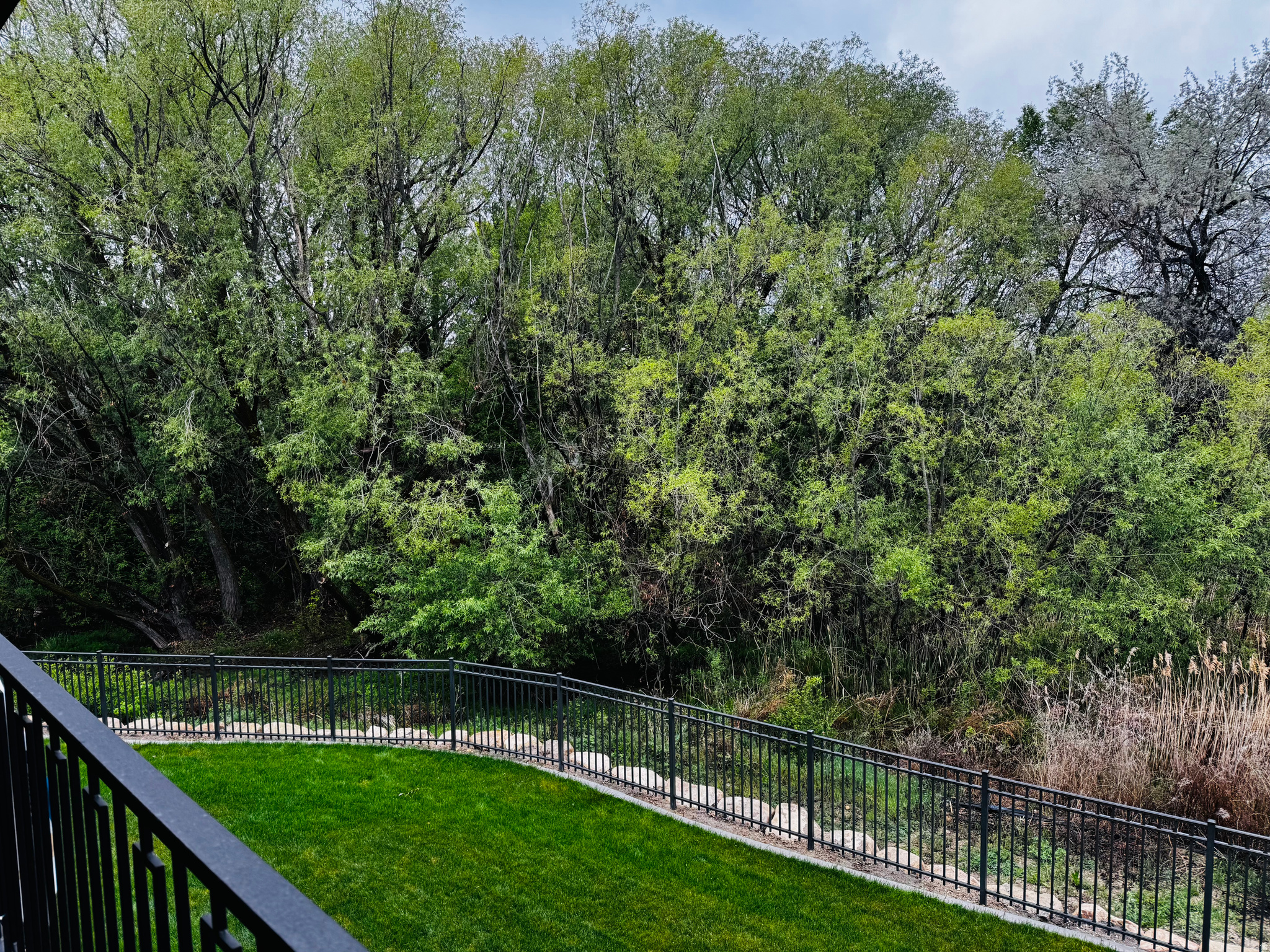 main property photo 62