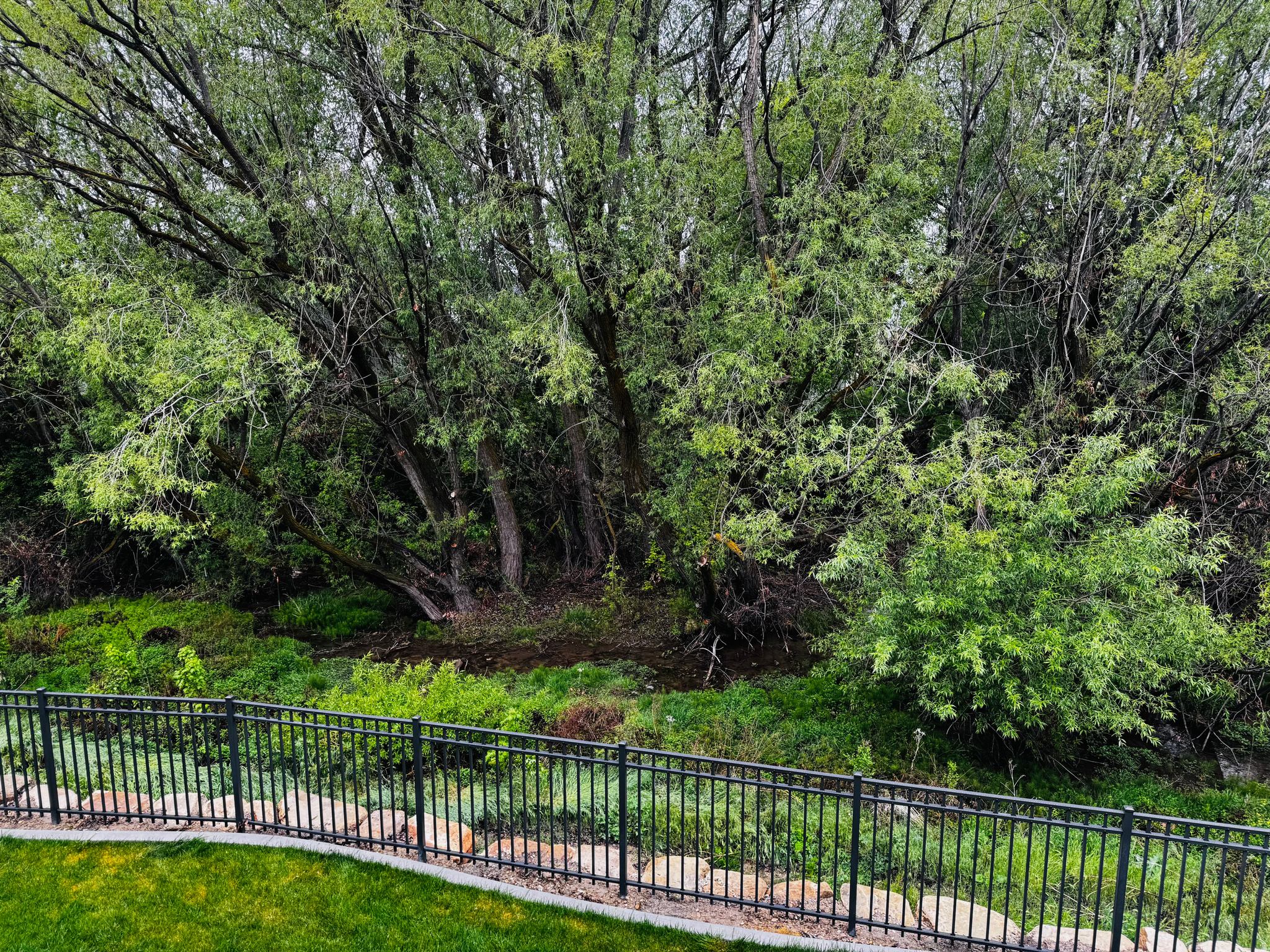 main property photo 64