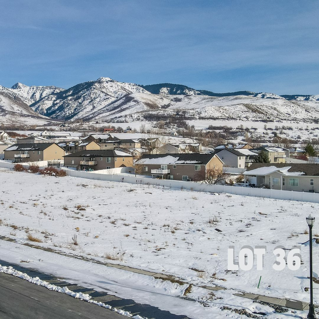 main property photo 4