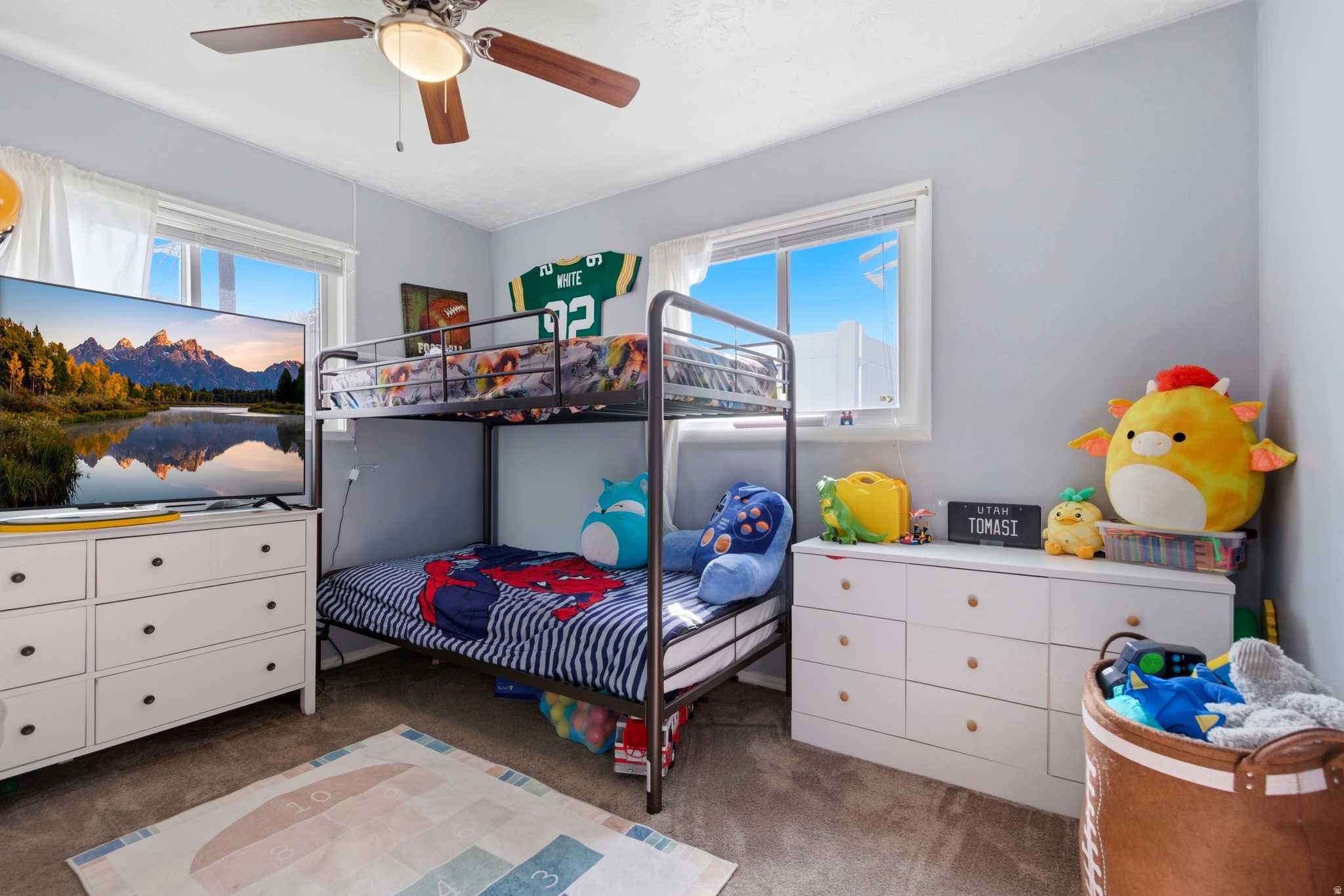 main property photo 10