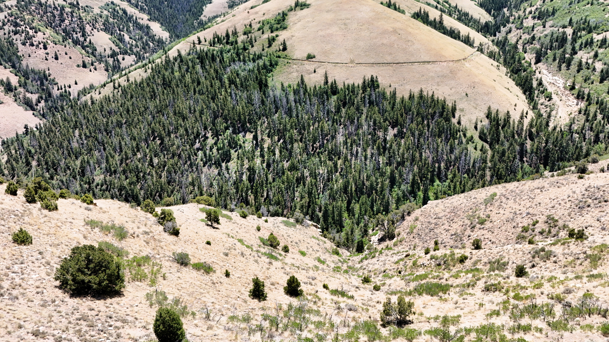 main property photo 48