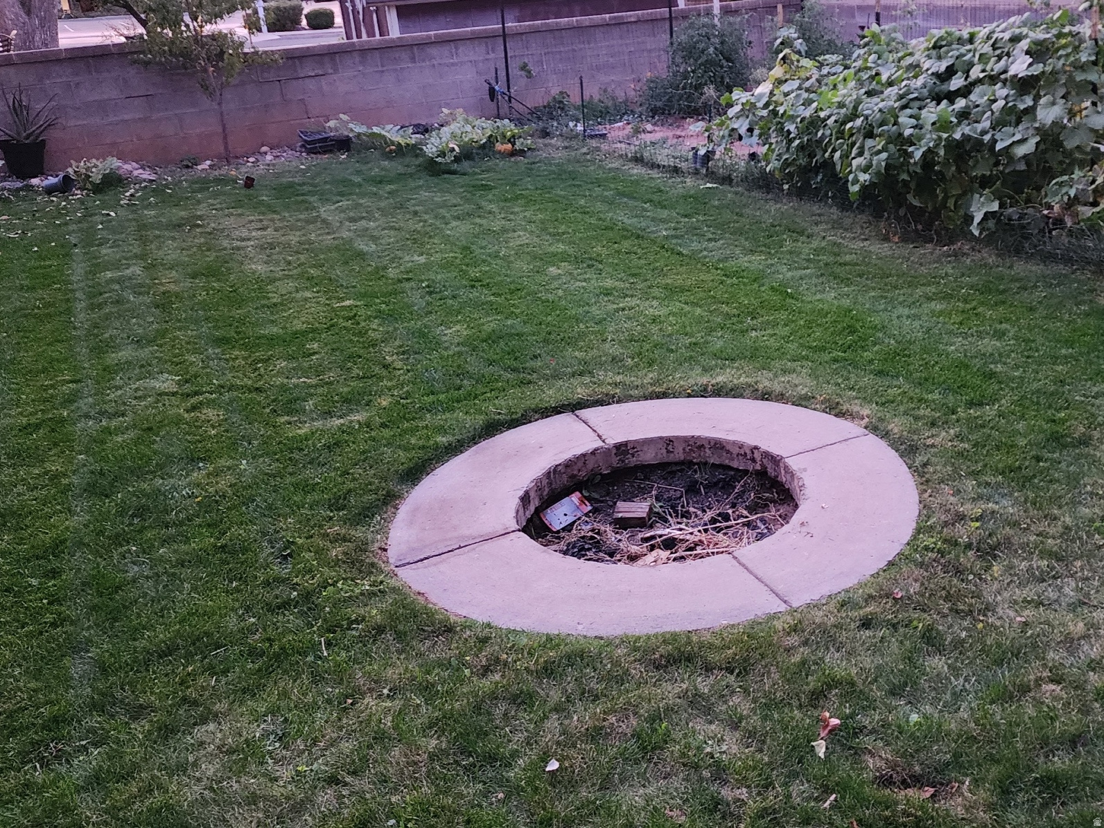 main property photo 31