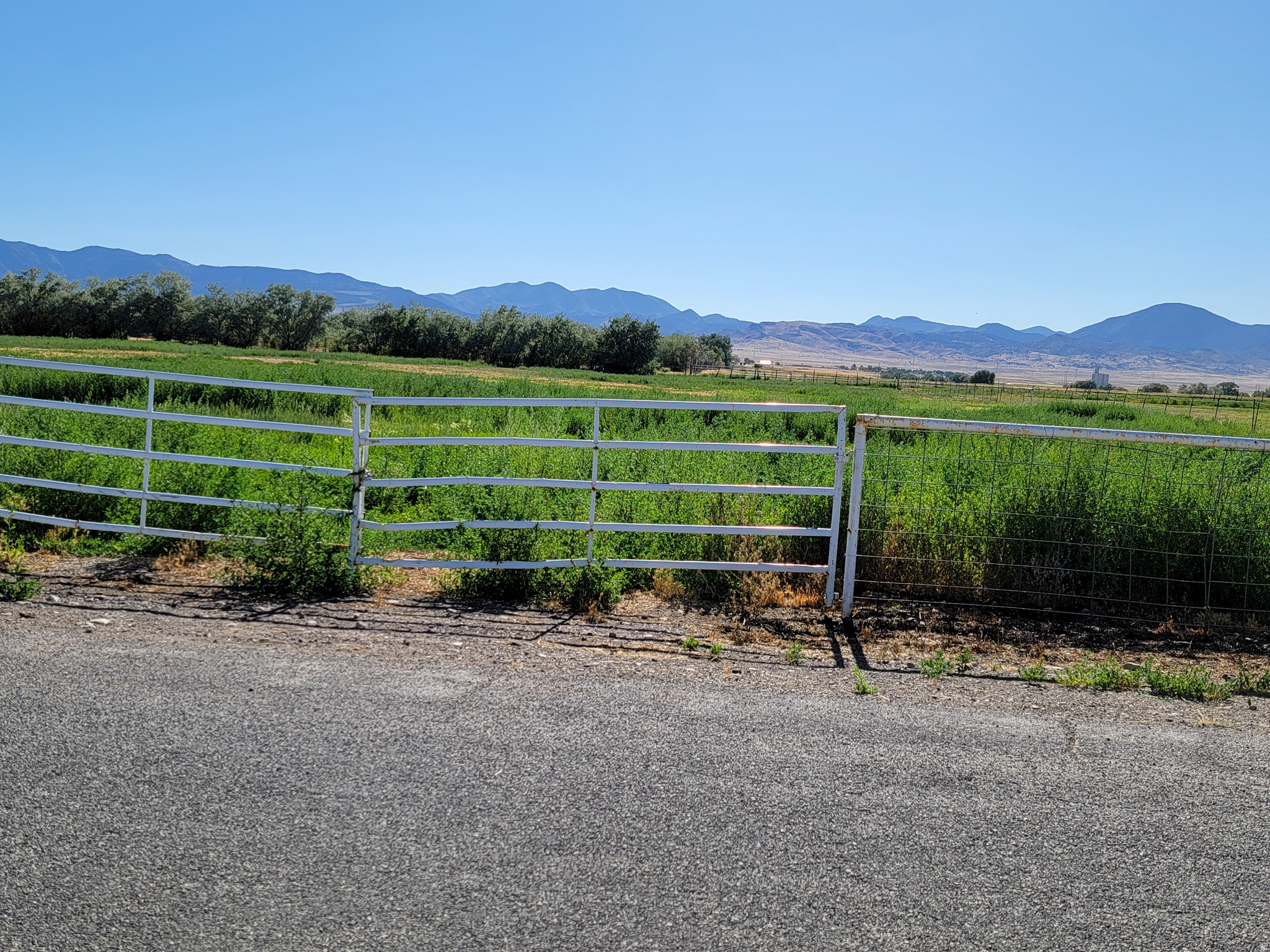 main property photo 6