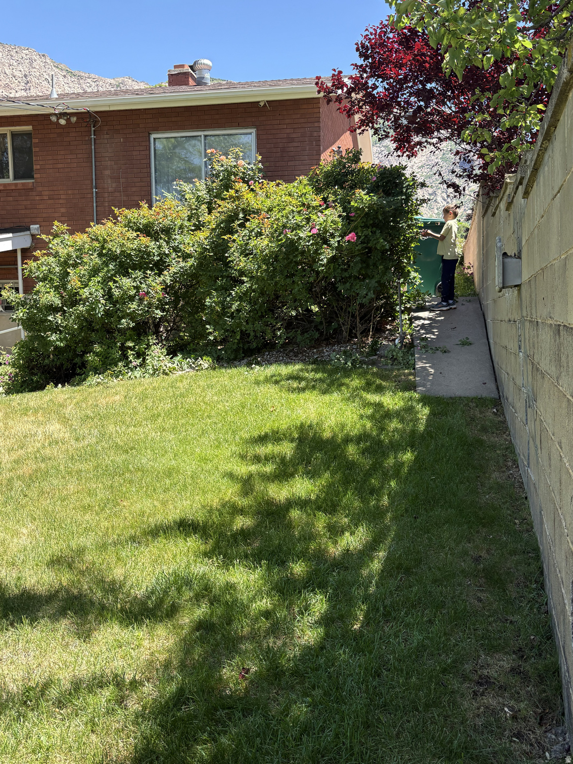 main property photo 63