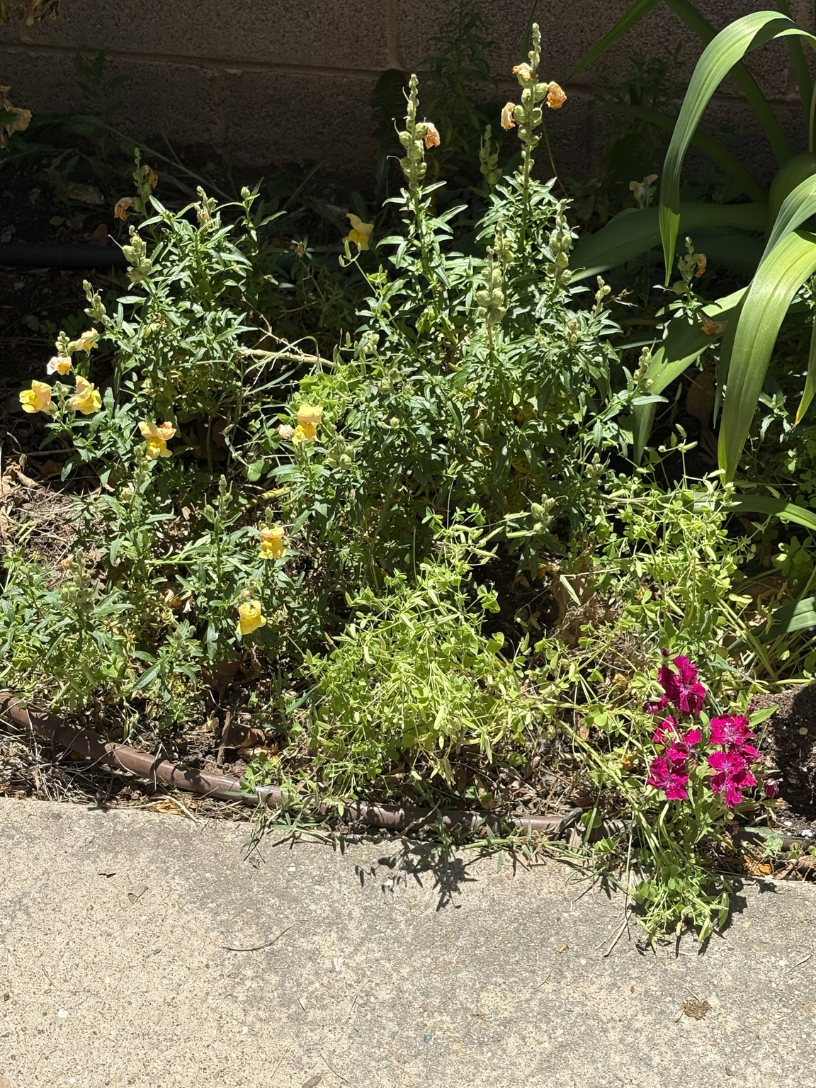main property photo 68