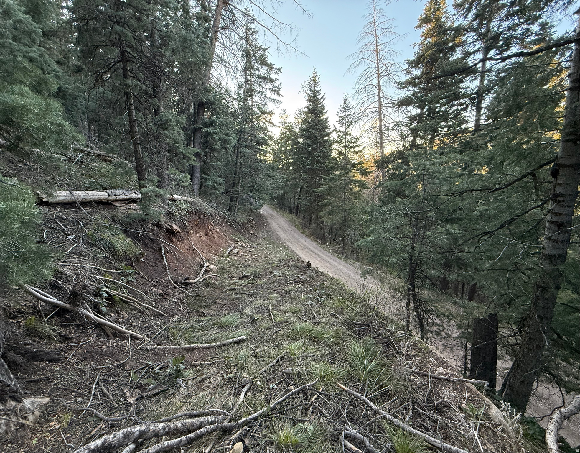 main property photo 14