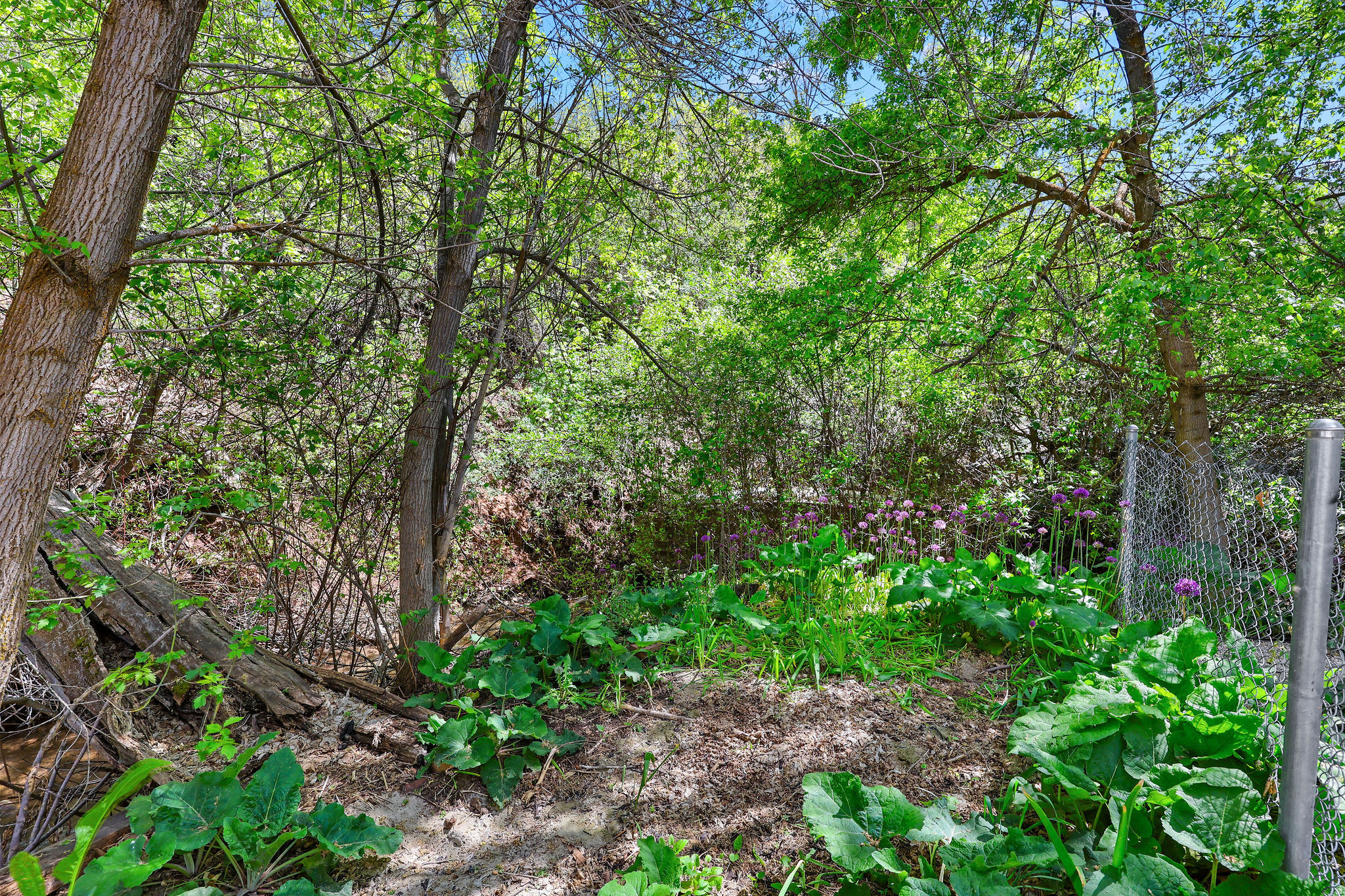 main property photo 27