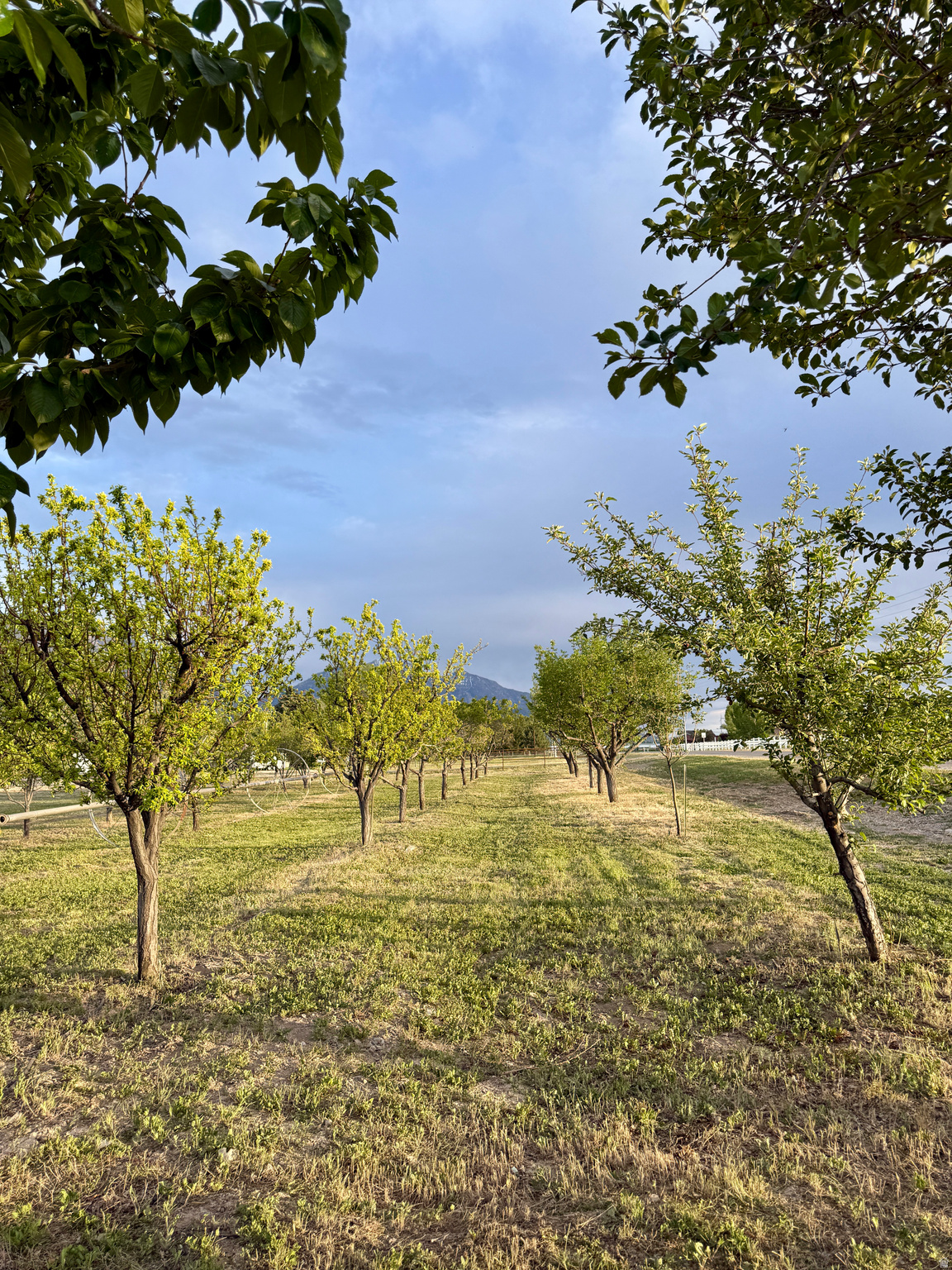 main property photo 61