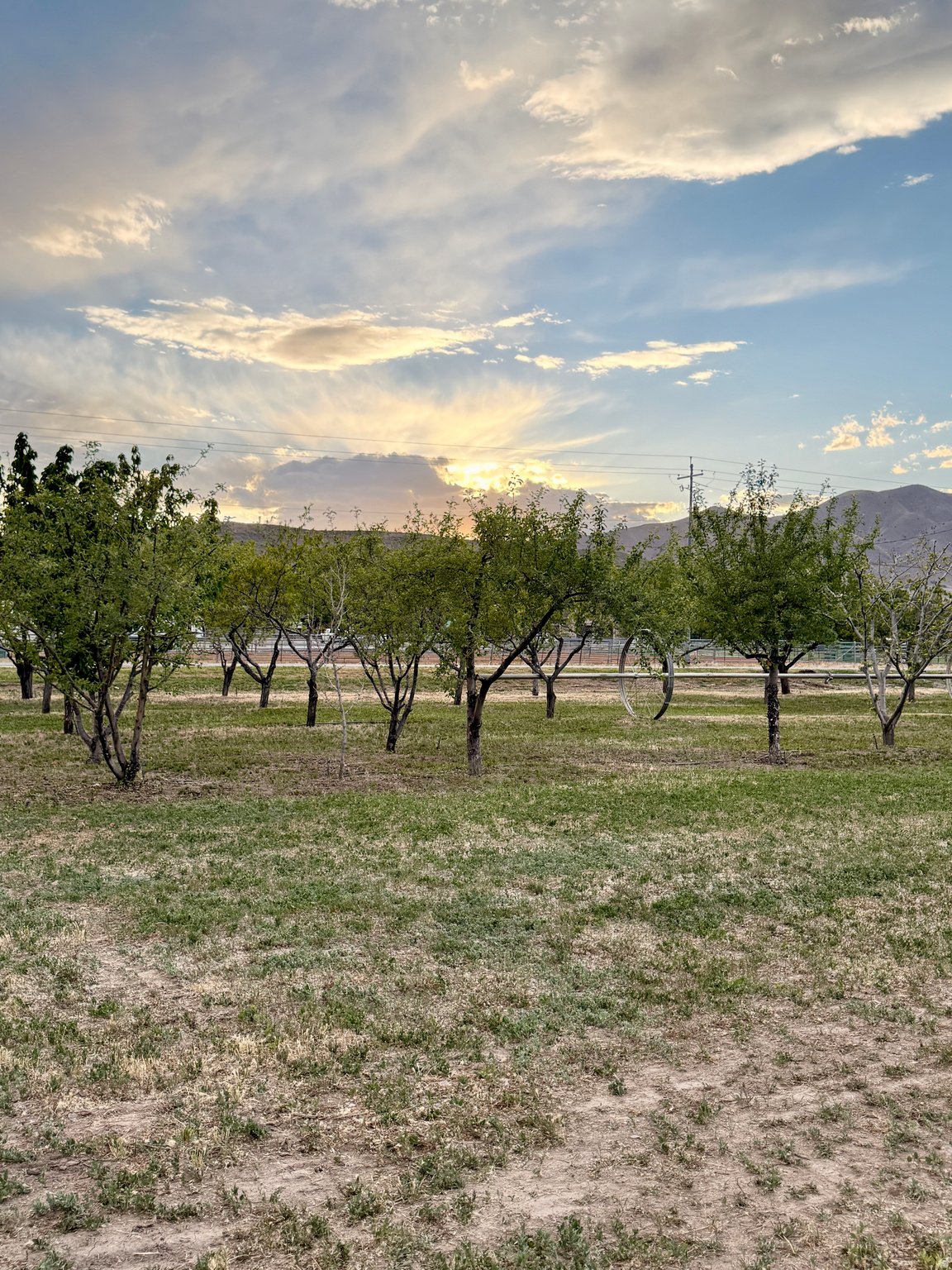 main property photo 62