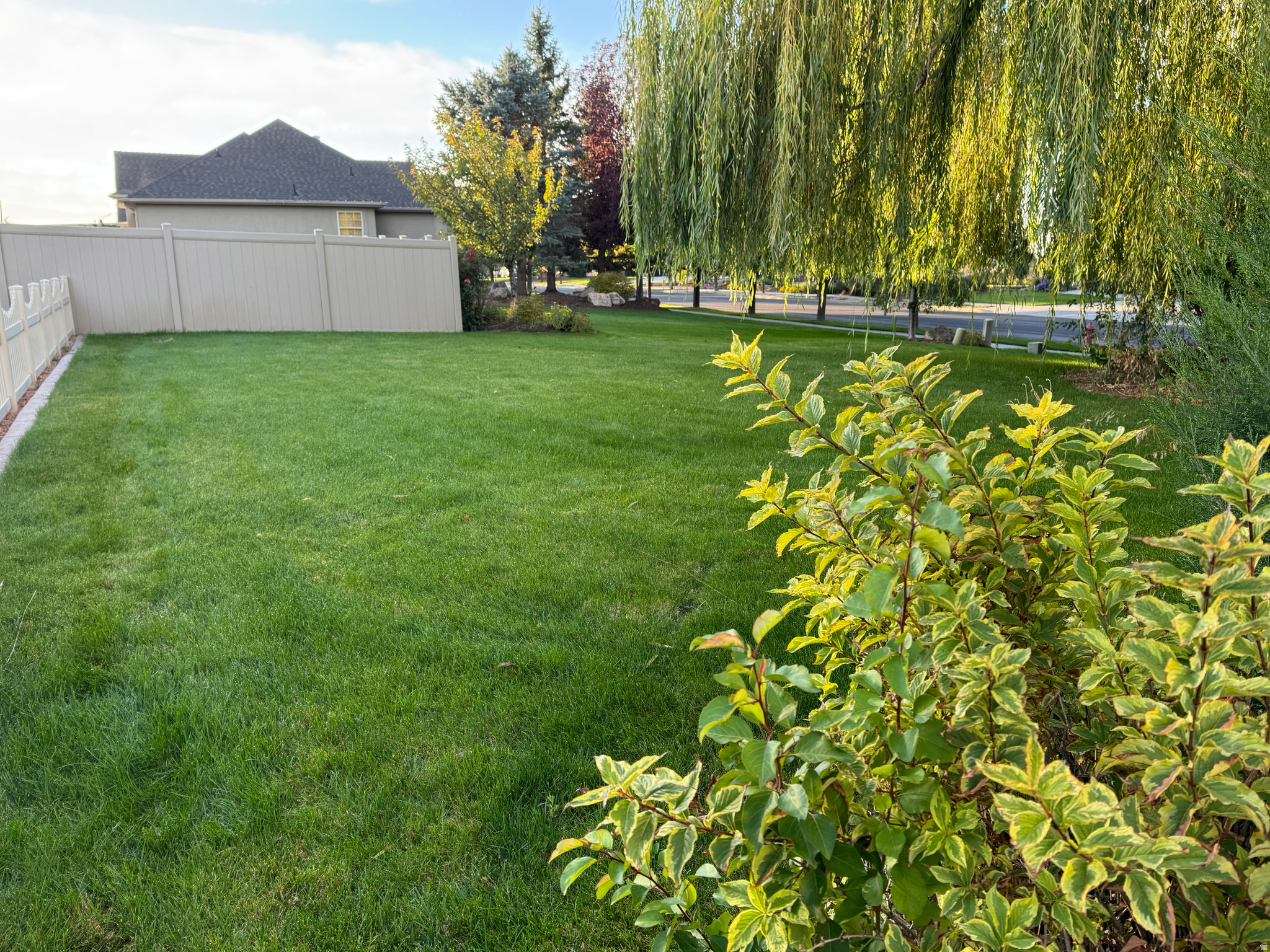 main property photo 40