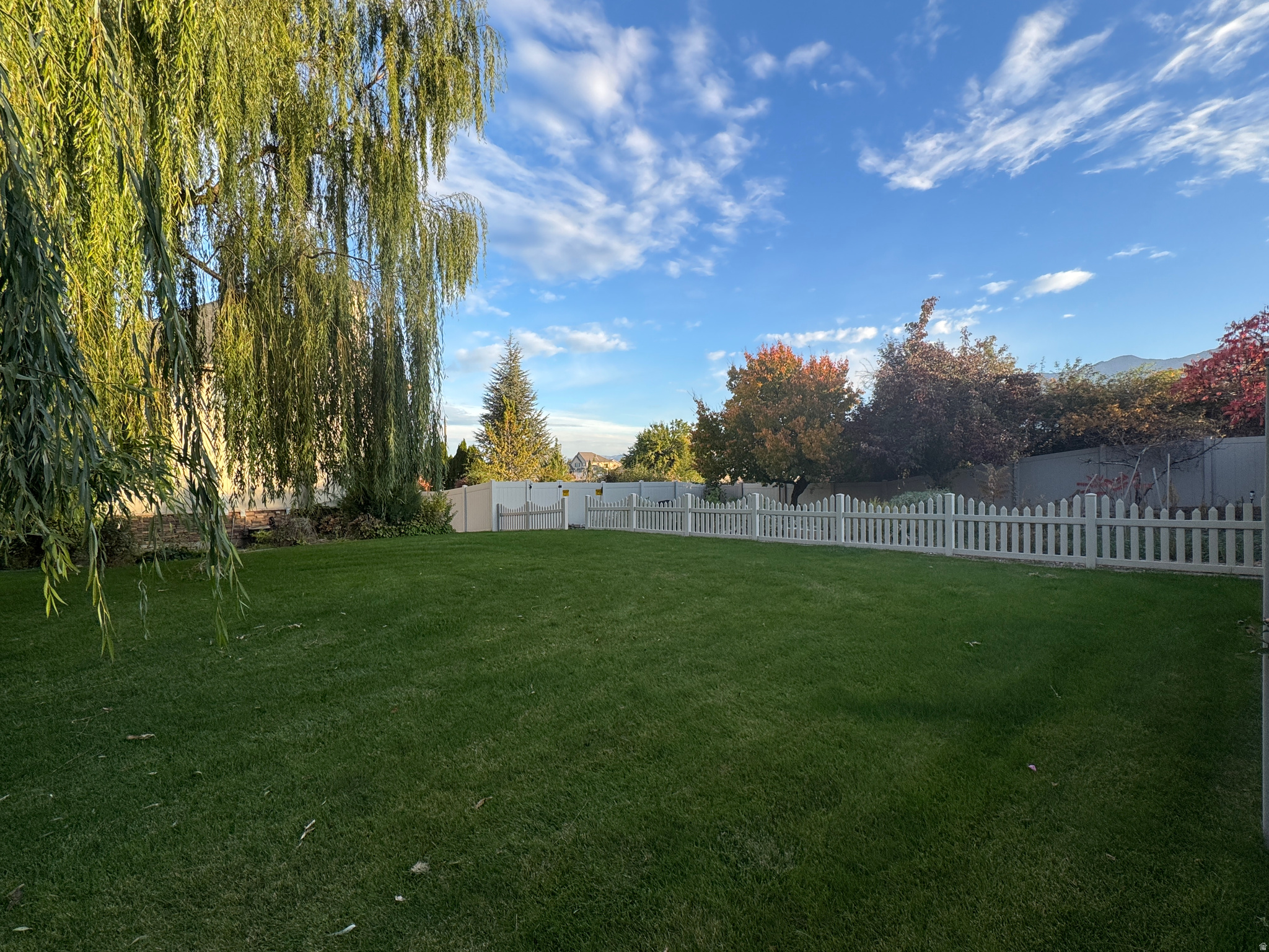 main property photo 41