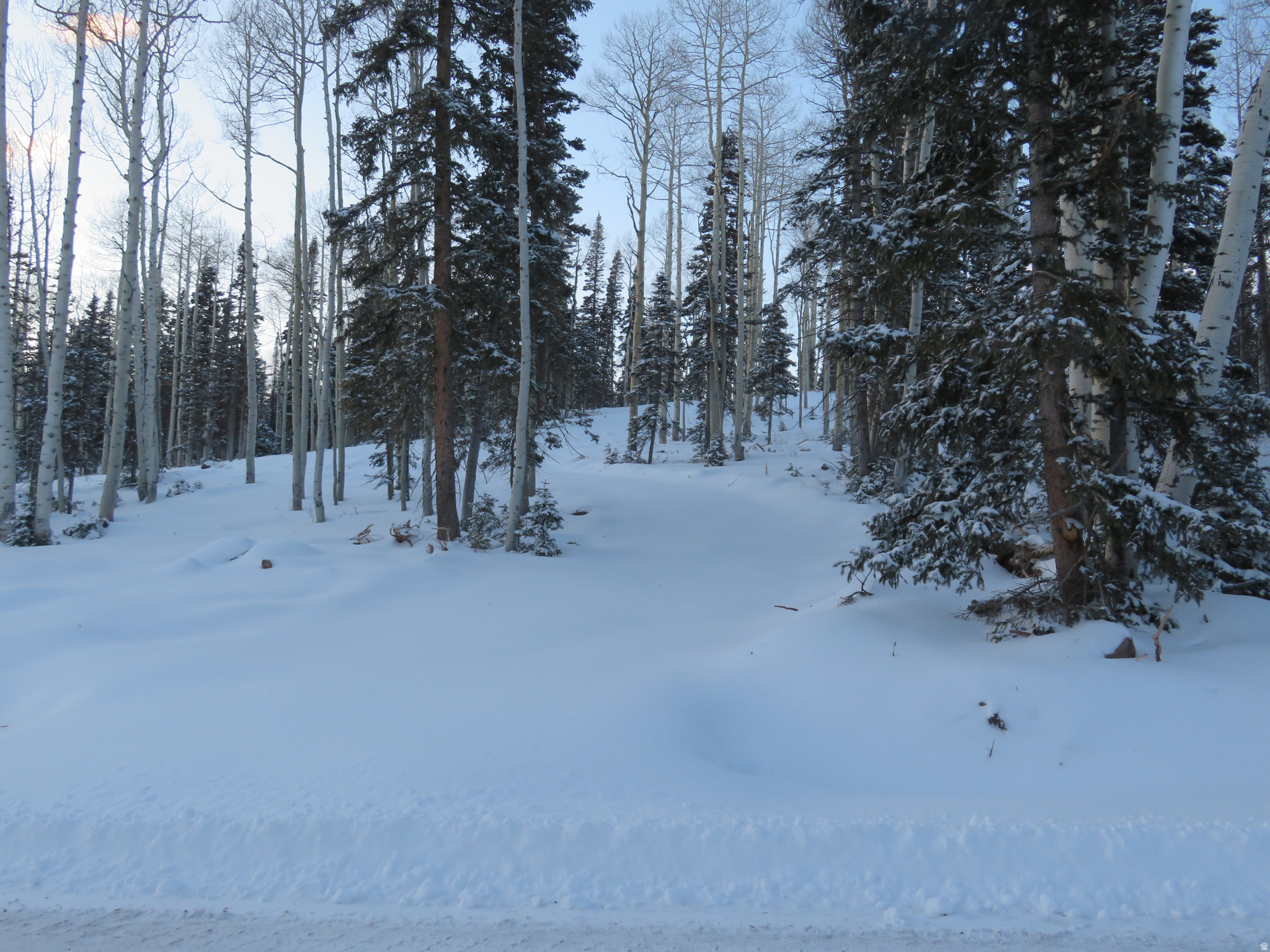 main property photo 11