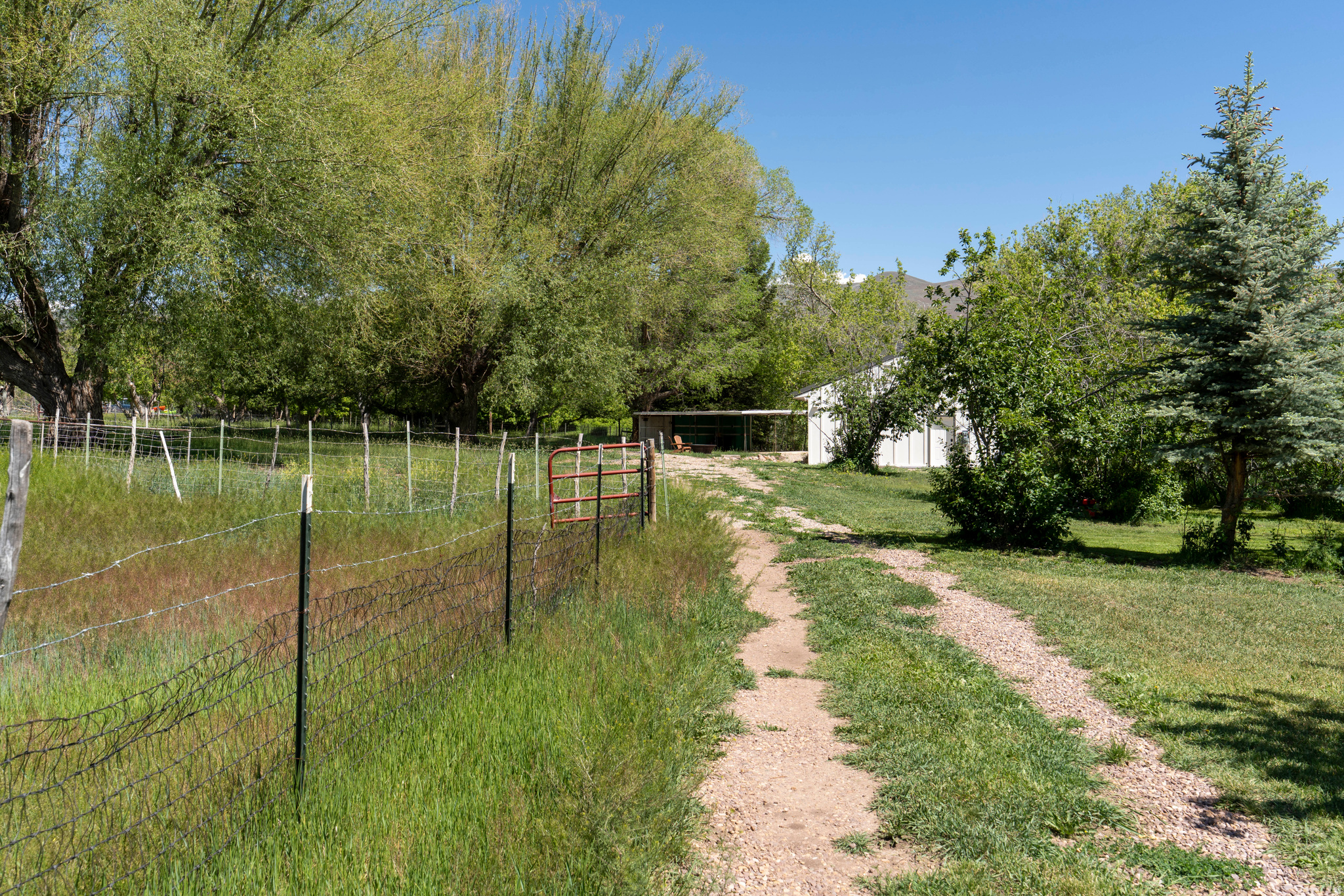 main property photo 51