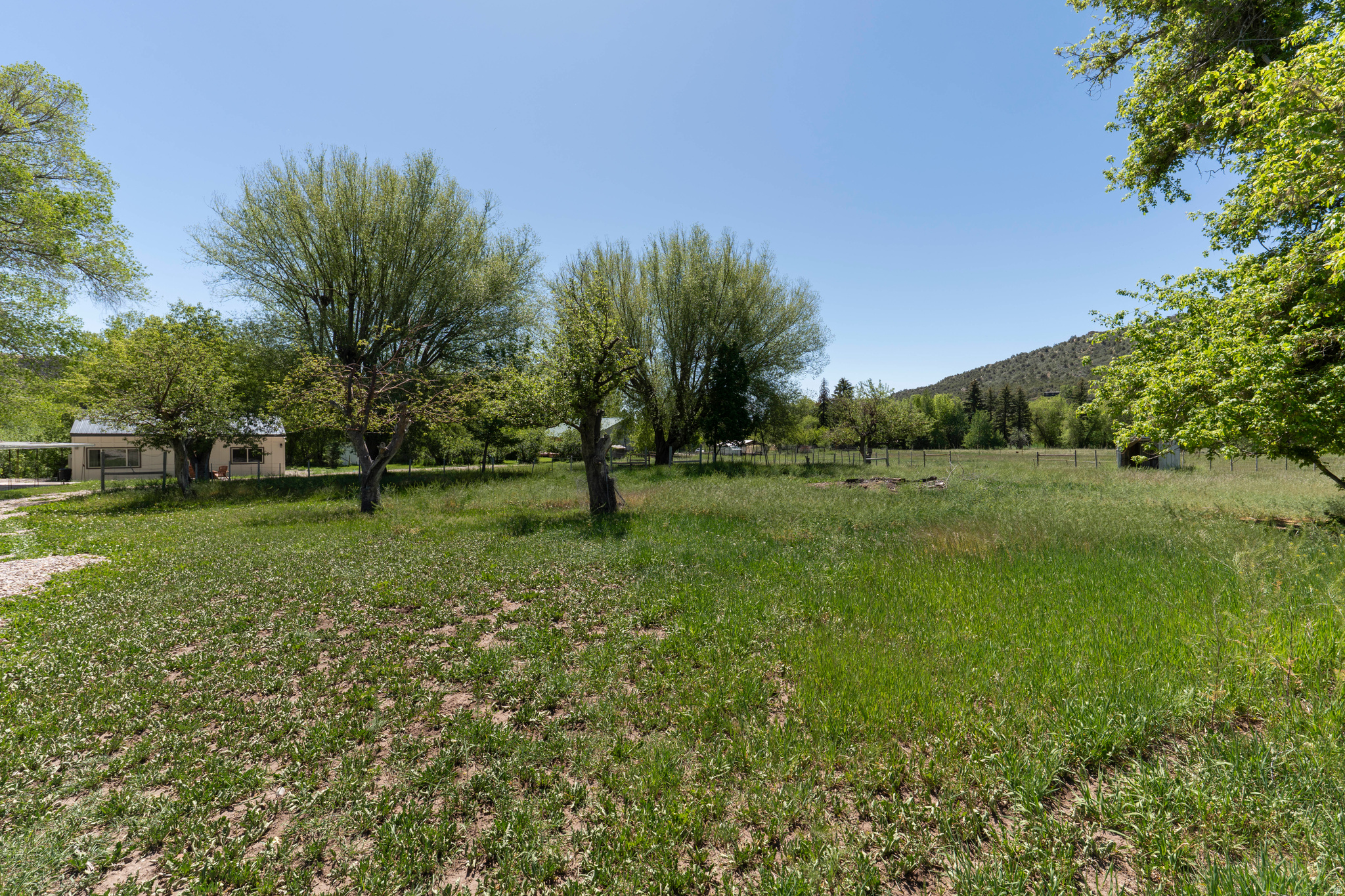 main property photo 55