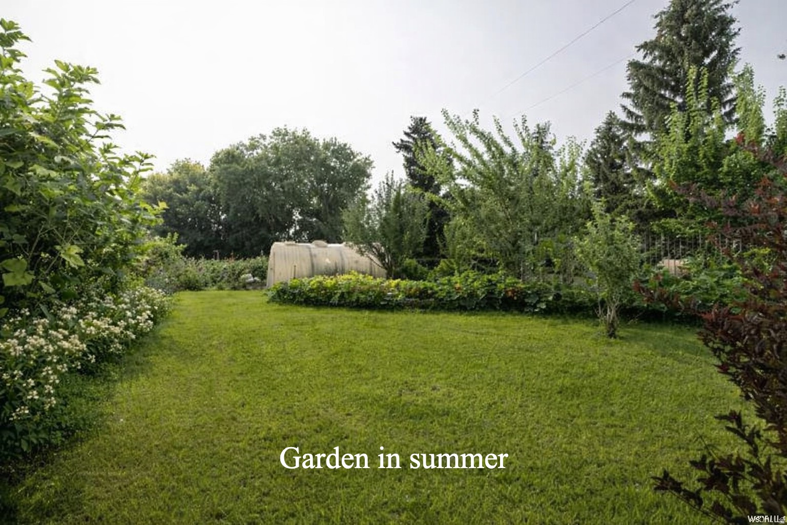 main property photo 70