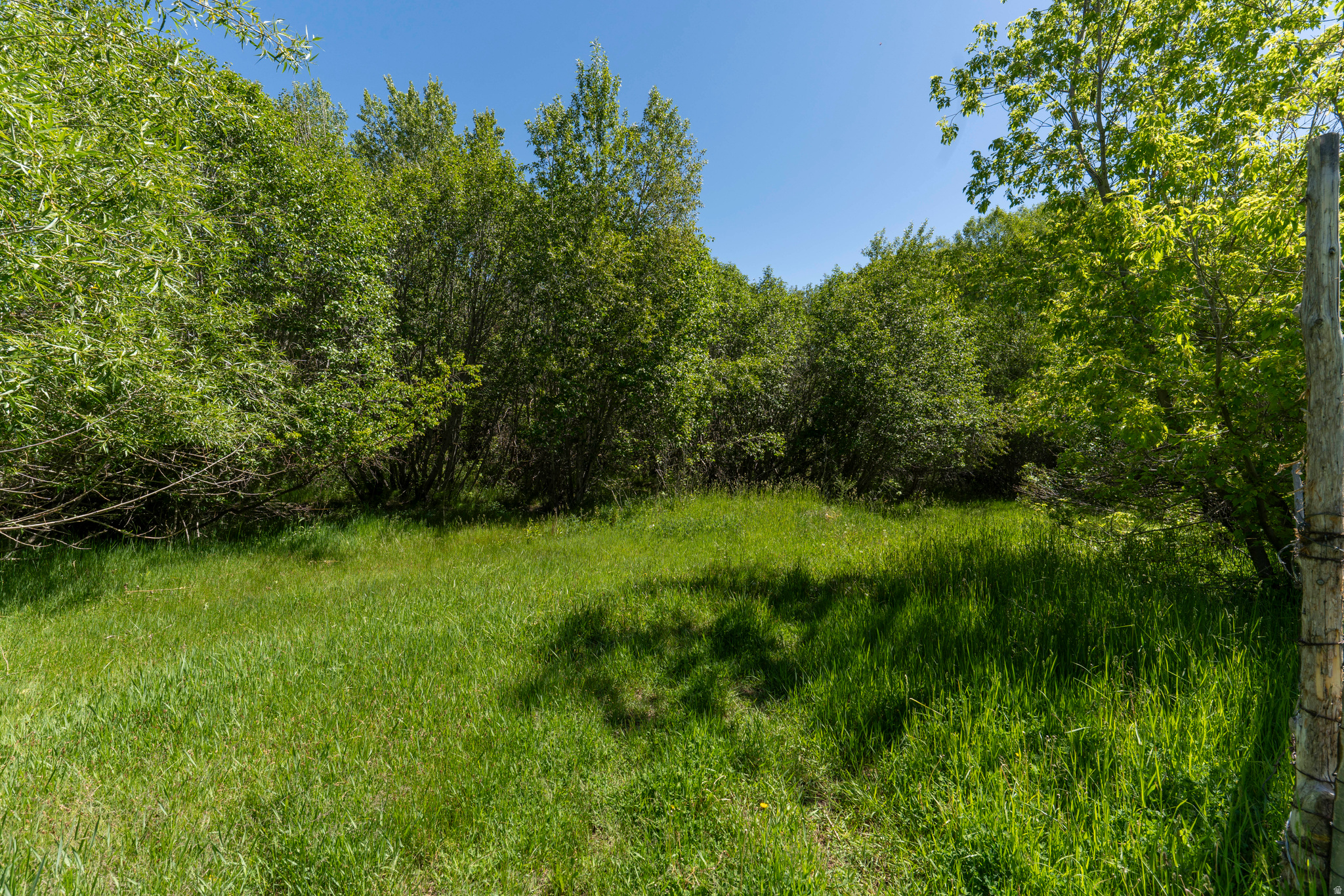 main property photo 79