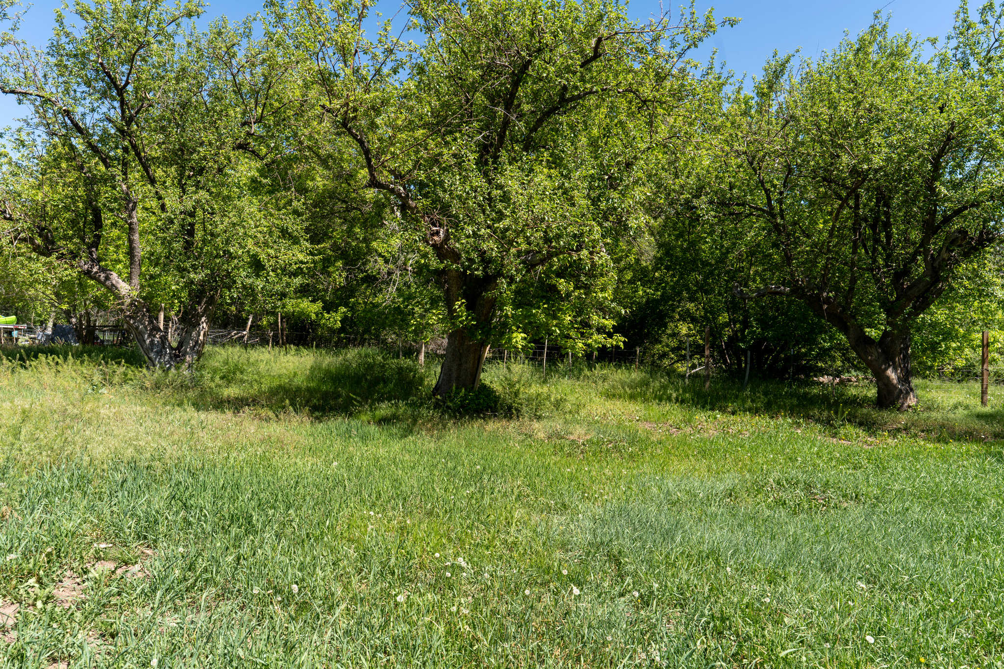 main property photo 80