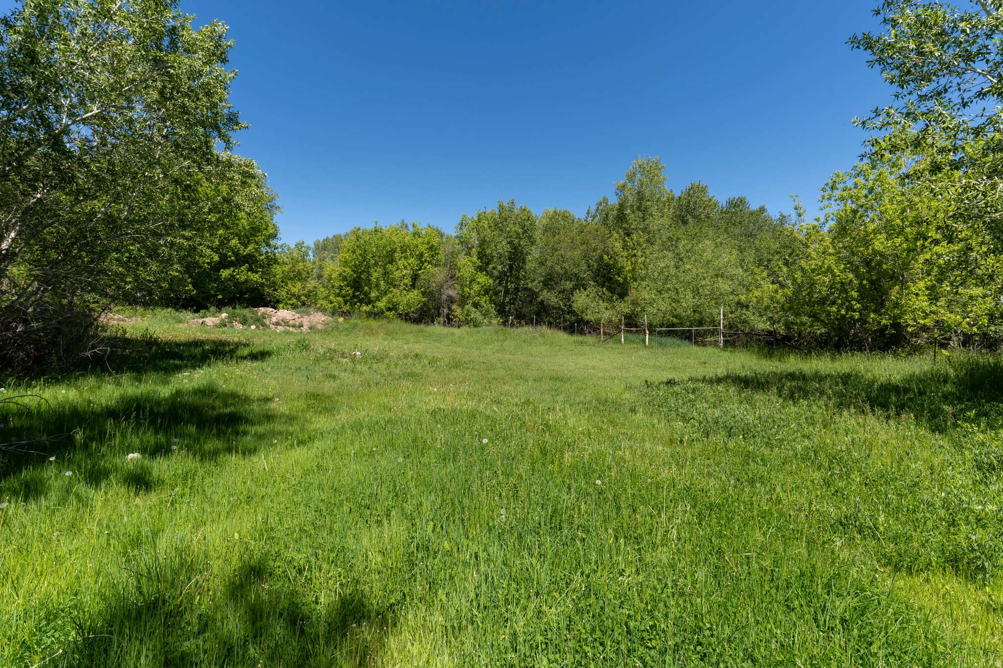 main property photo 82