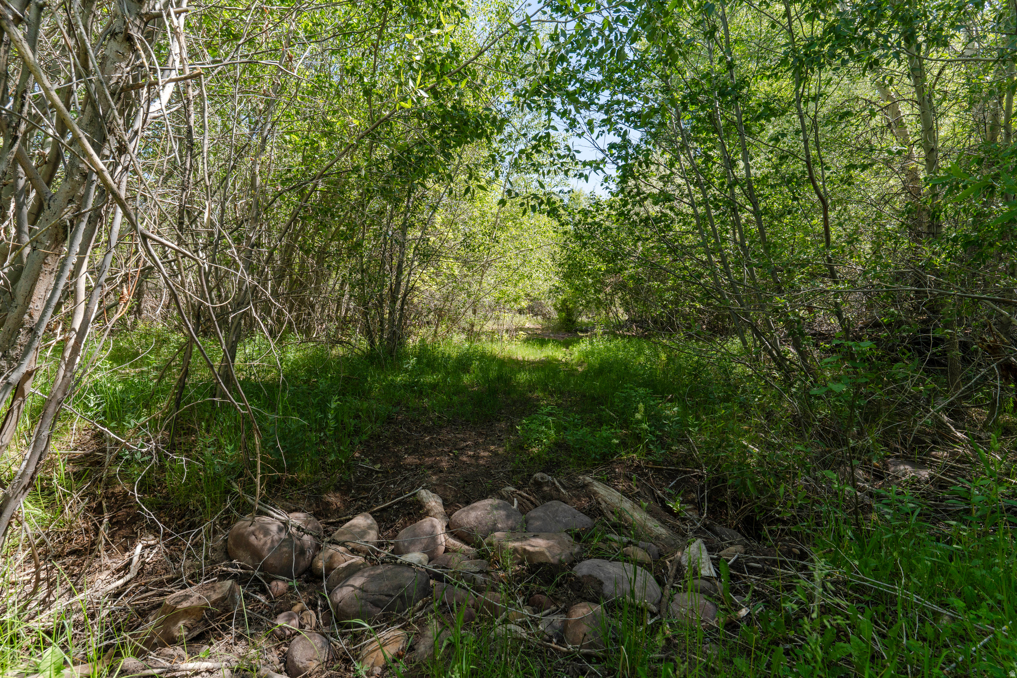 main property photo 83