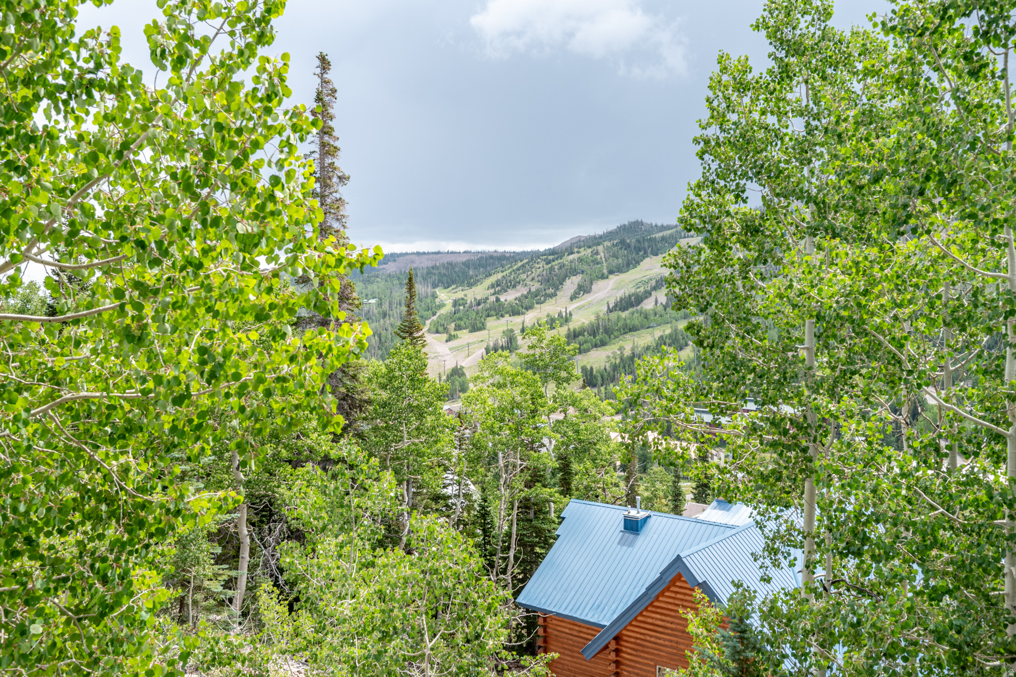 main property photo 67