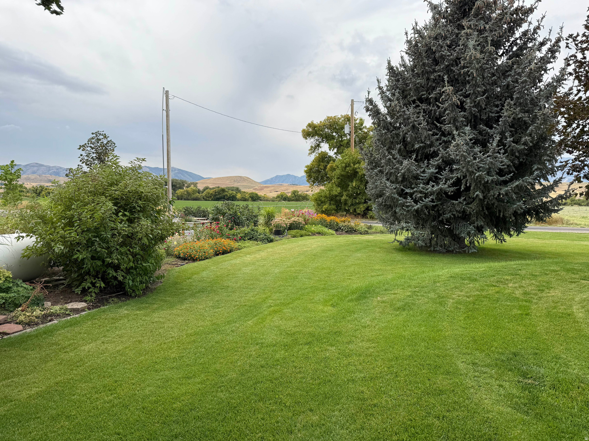 main property photo 40