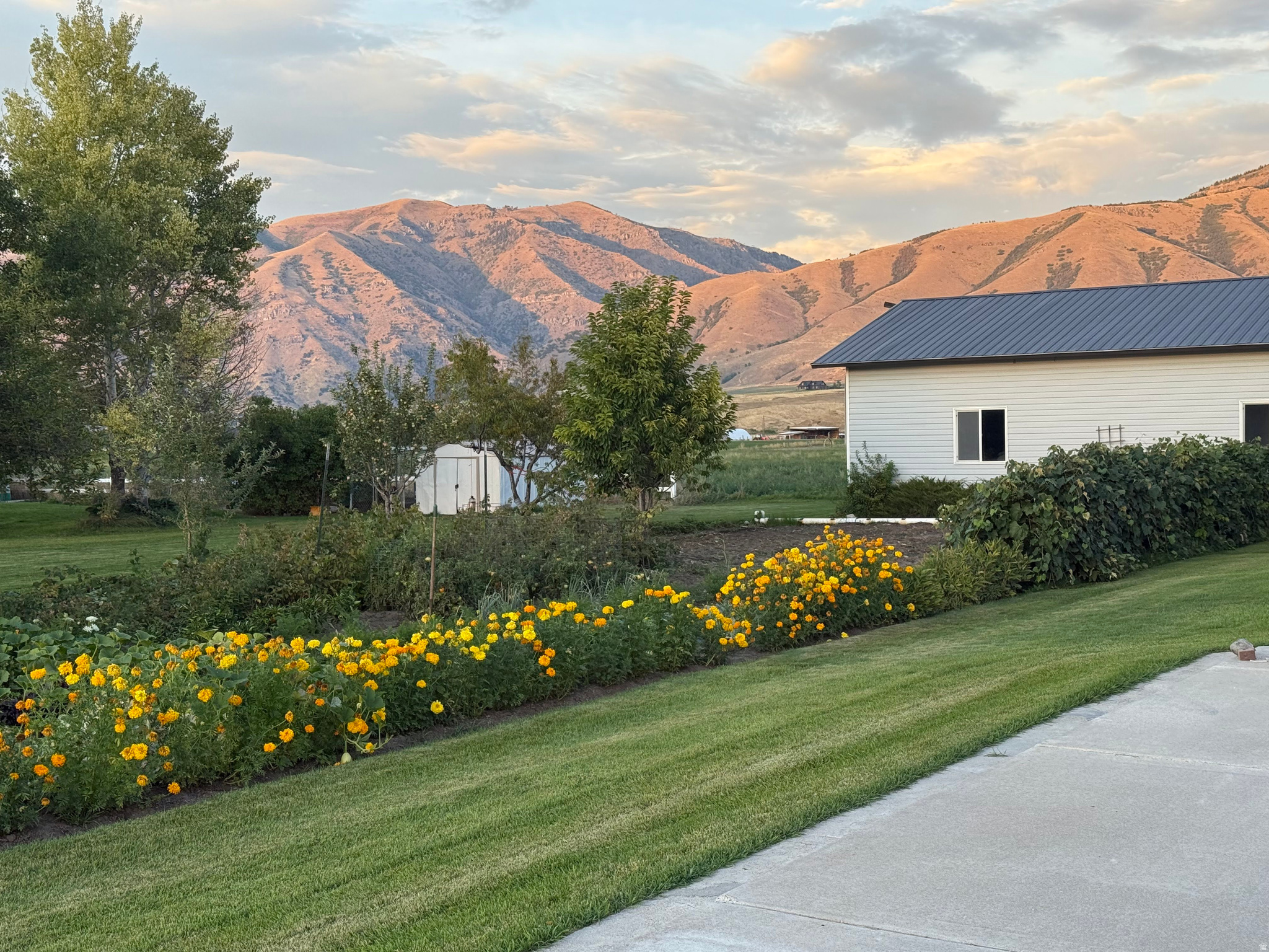 main property photo 49