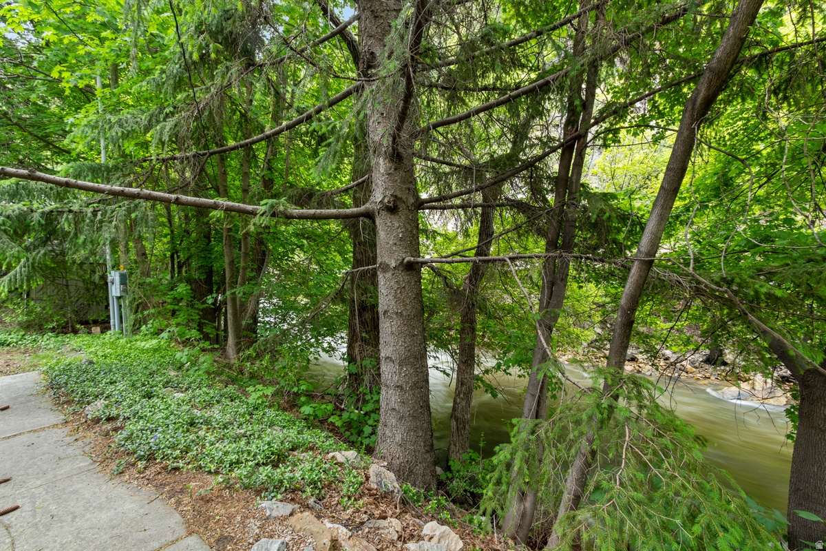 main property photo 48