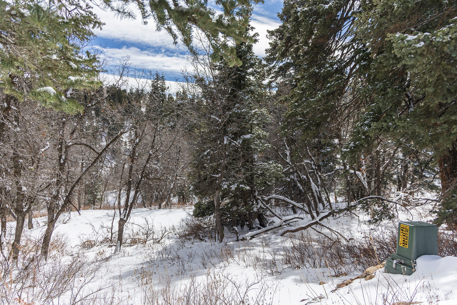 main property photo 23