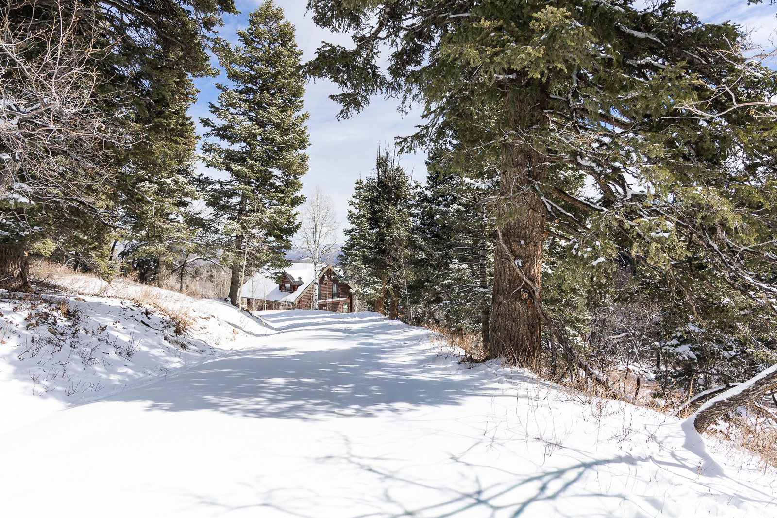 main property photo 8