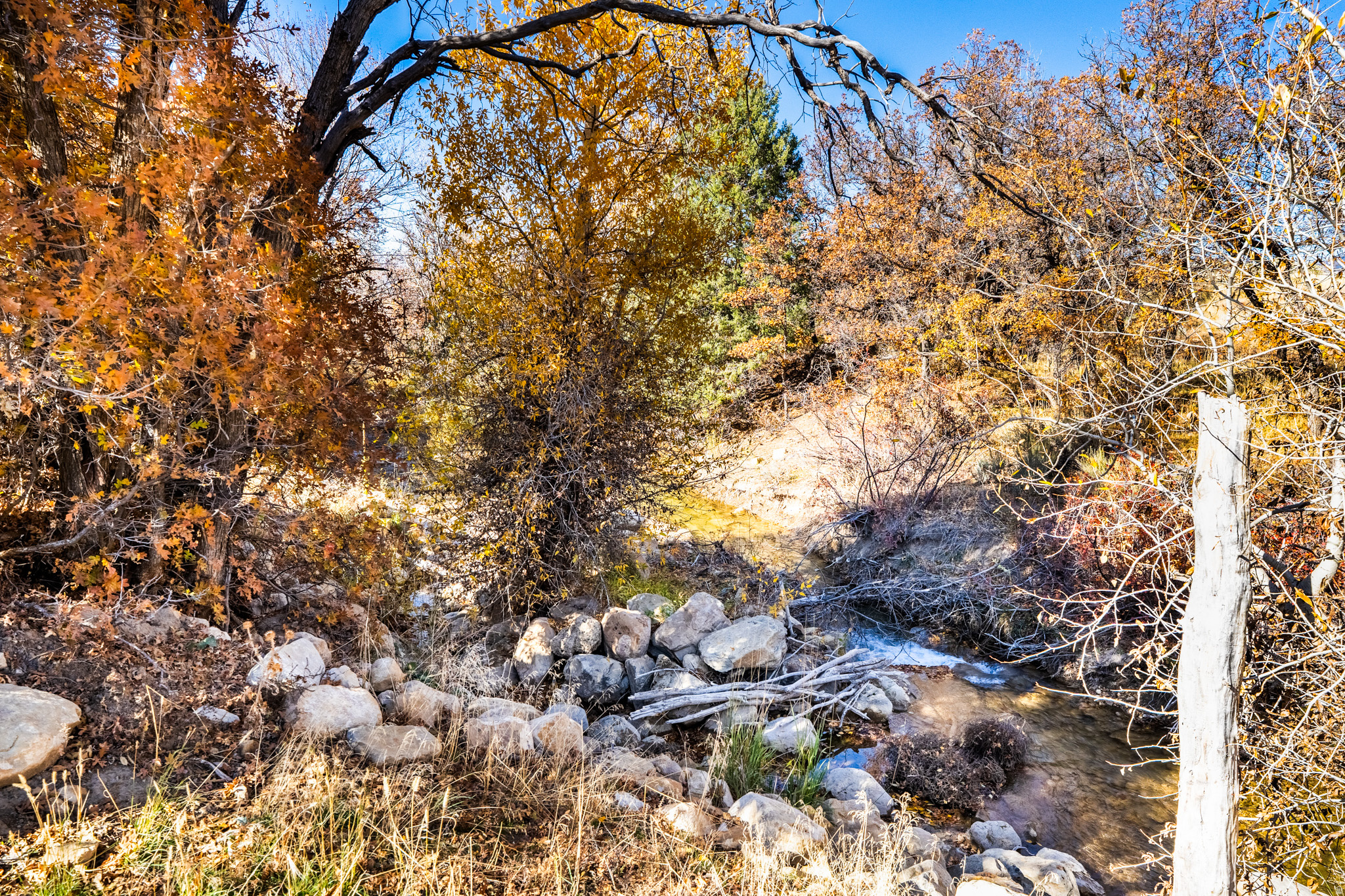 main property photo 80