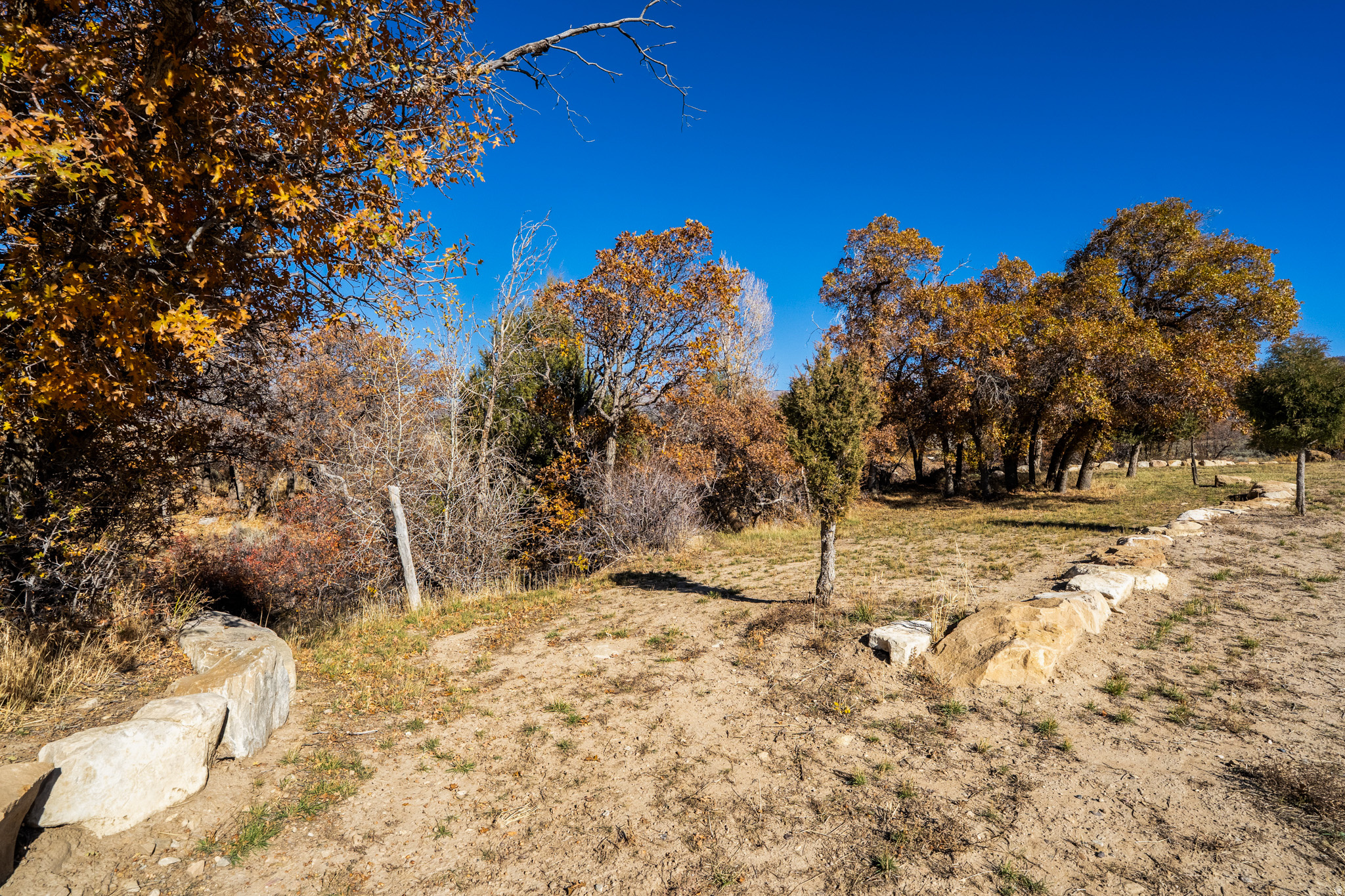 main property photo 81