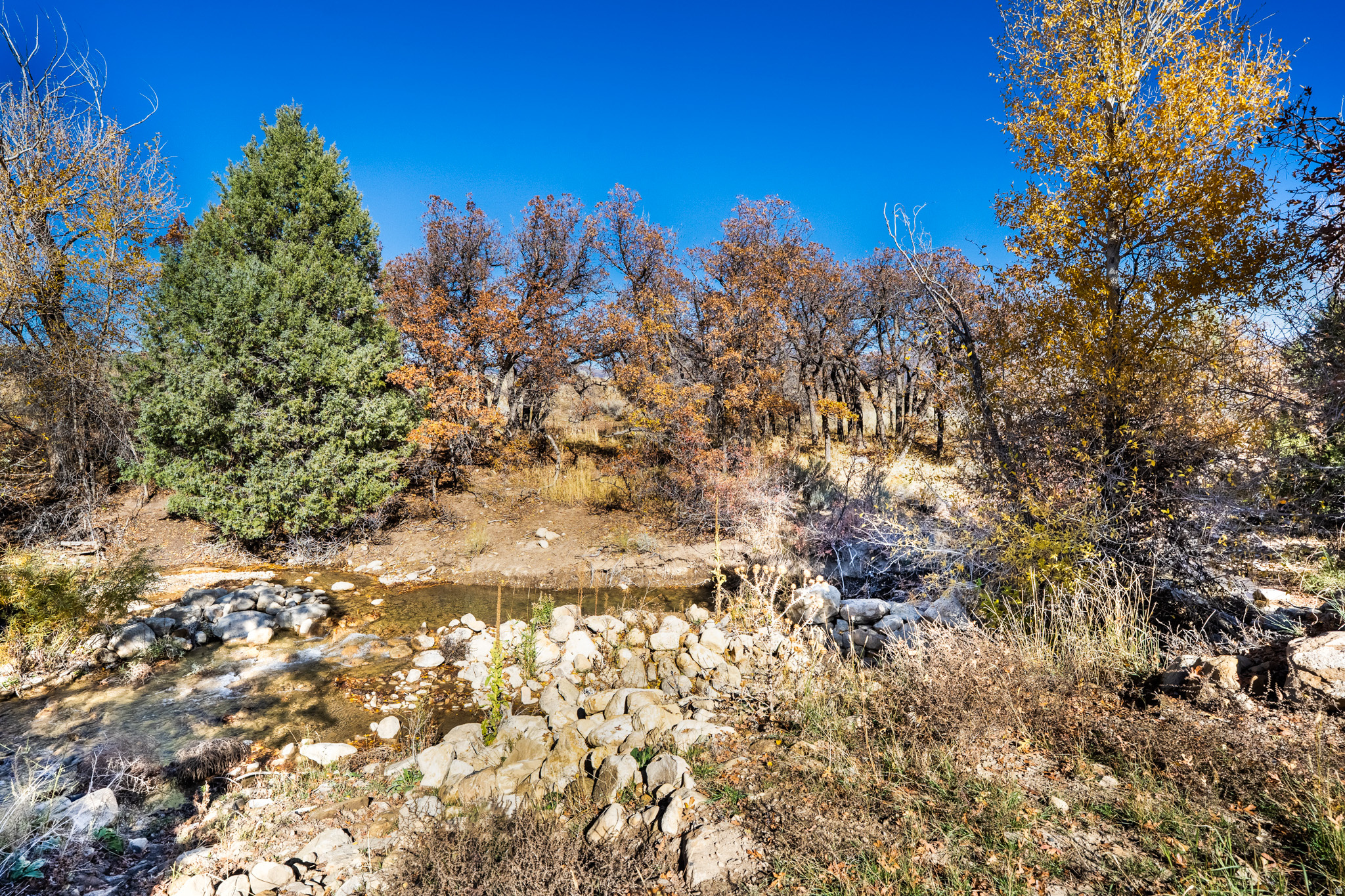 main property photo 82
