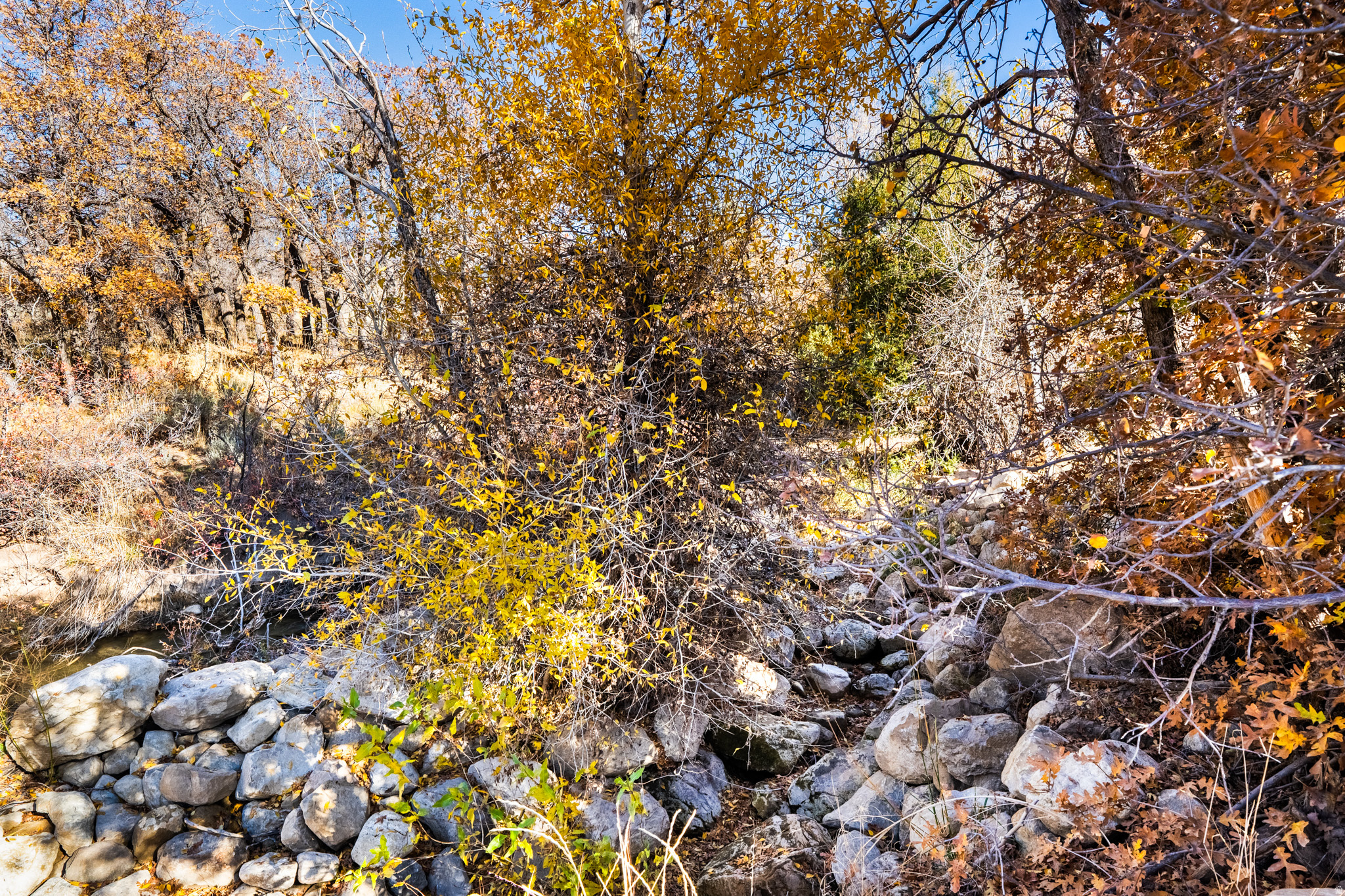main property photo 83