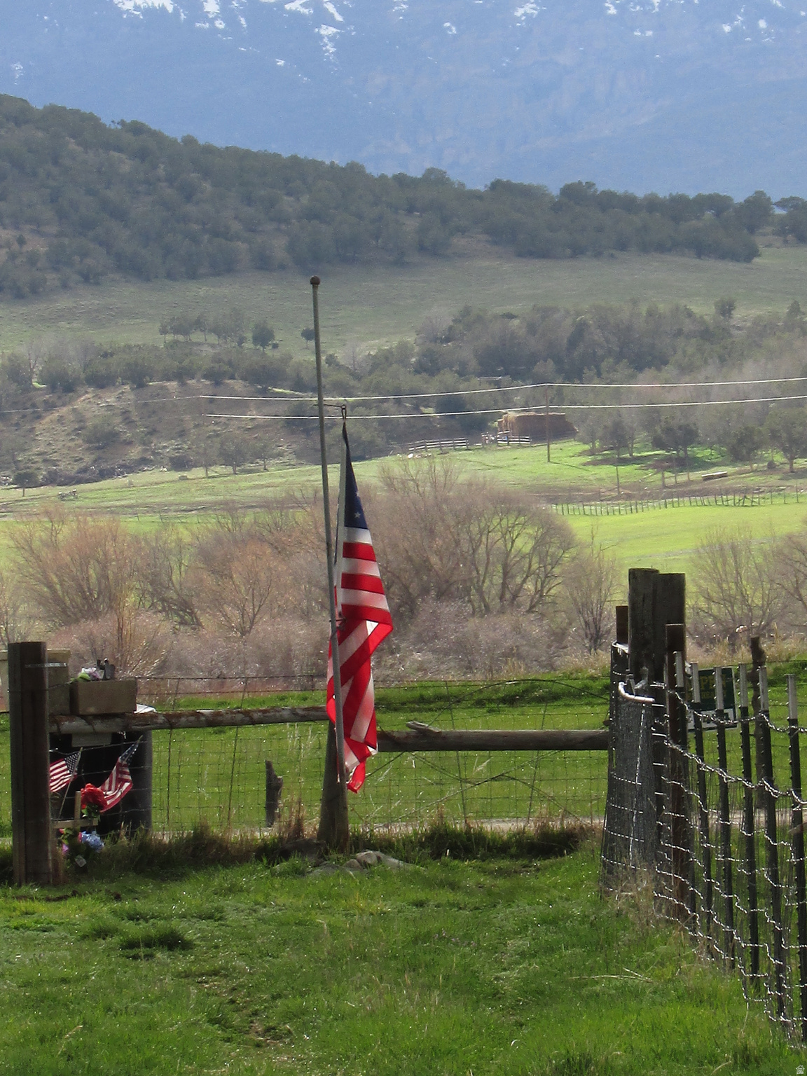 main property photo 54