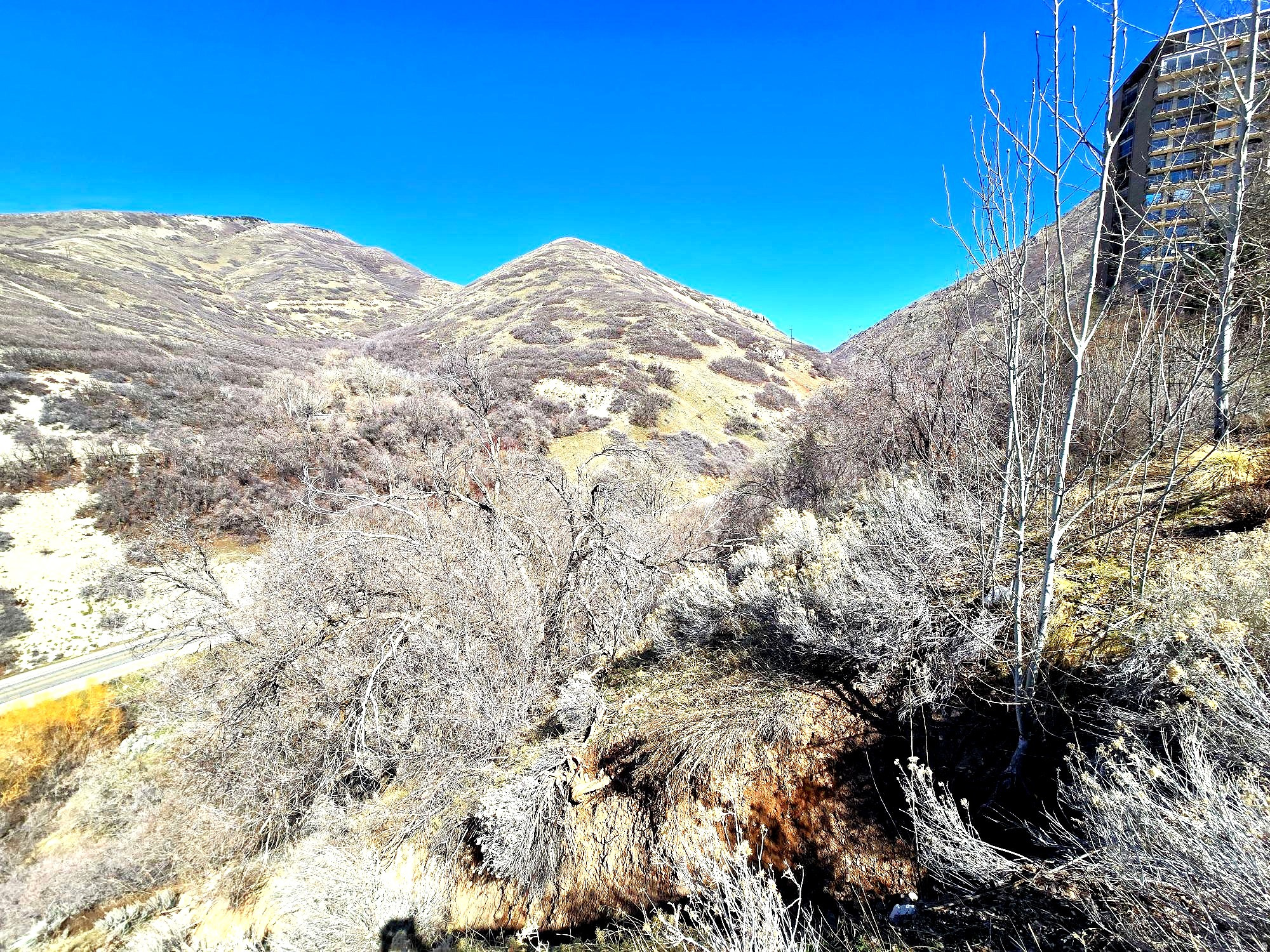 main property photo 42