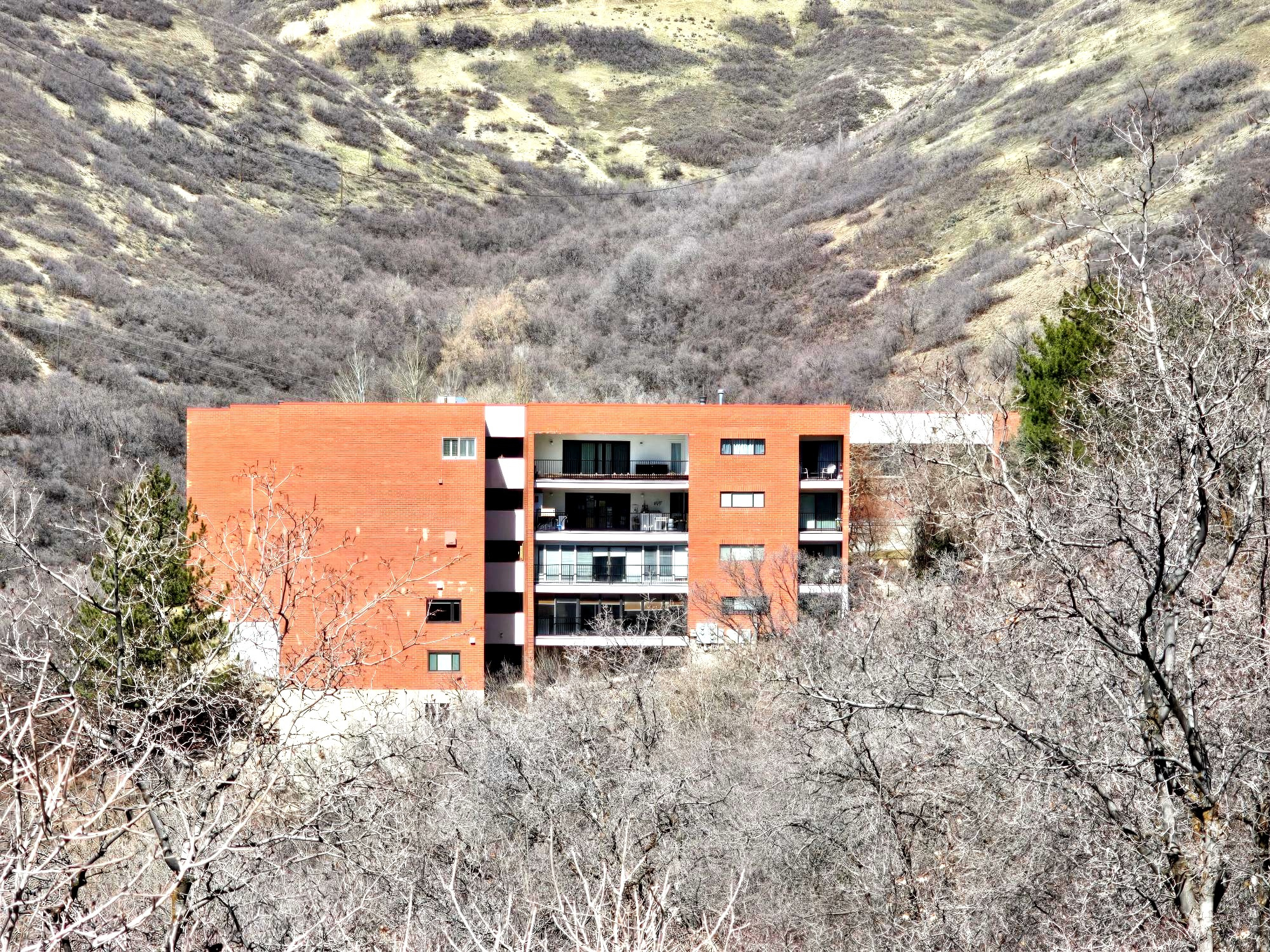 main property photo 46