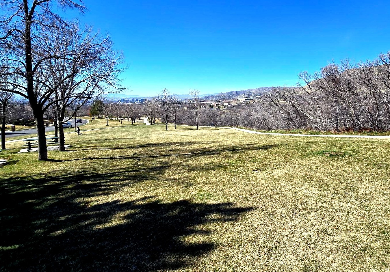 main property photo 48