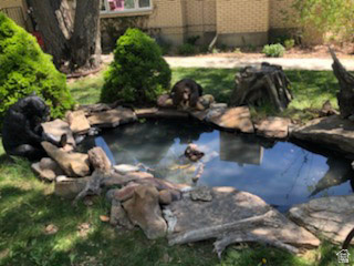 main property photo 56